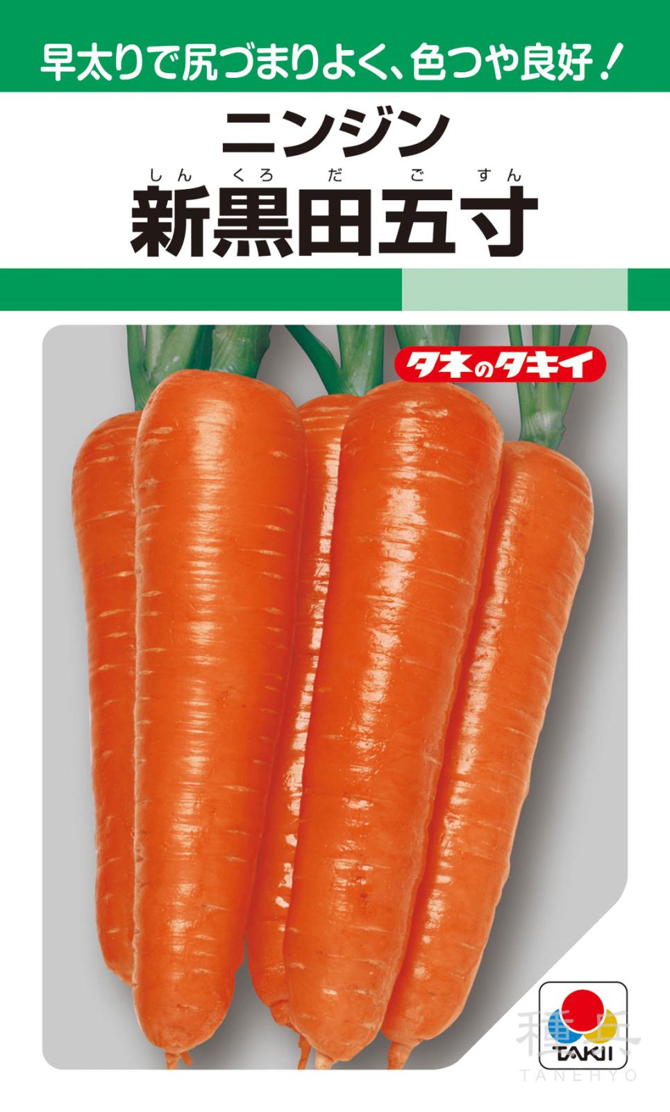固定種ニンジン 種 『新黒田五寸』 ACH121 タキイ種苗 | たね,根菜の種