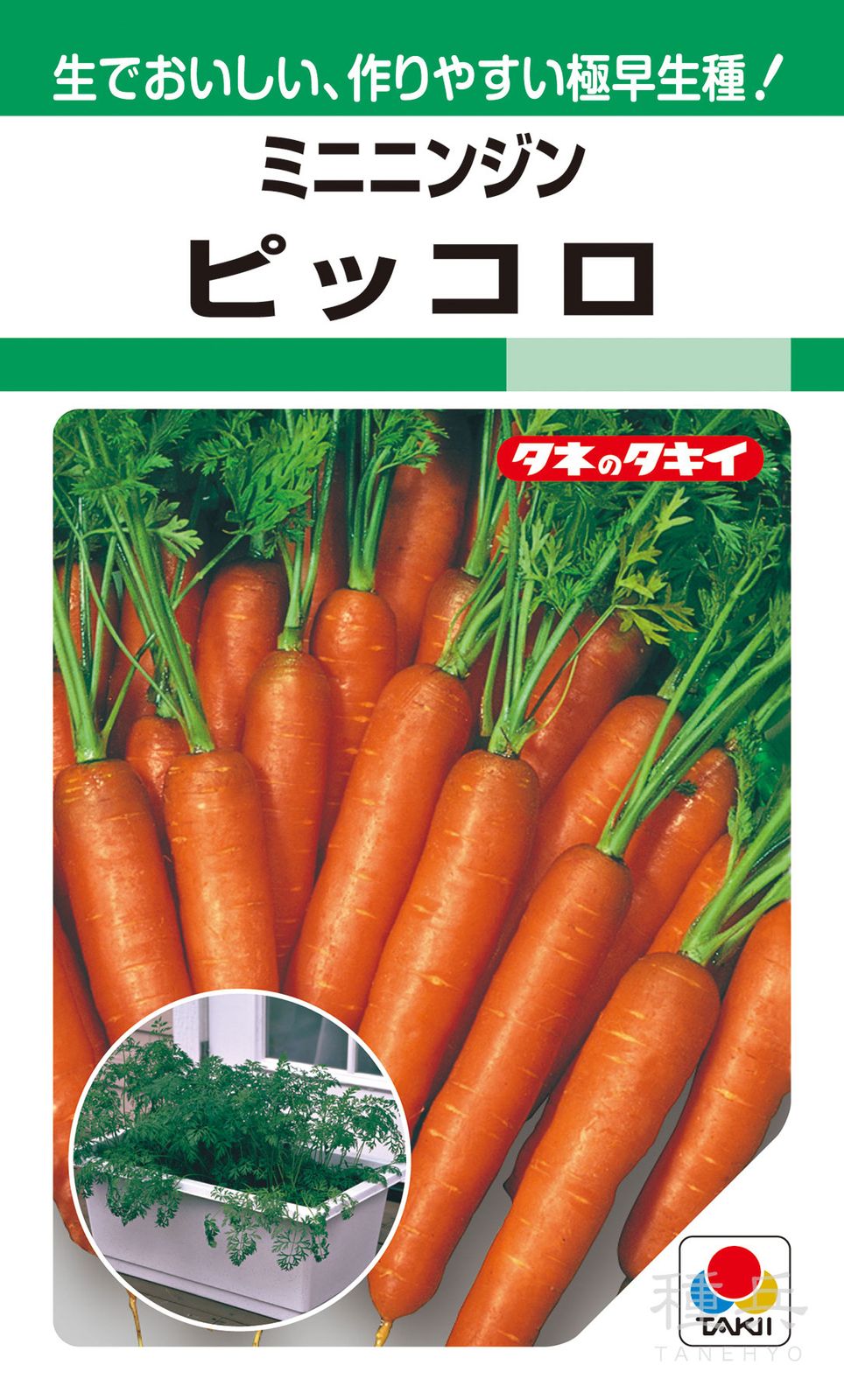 極早生ミニニンジン 種 『ピッコロ』 ACH181 タキイ種苗 | たね,根菜の