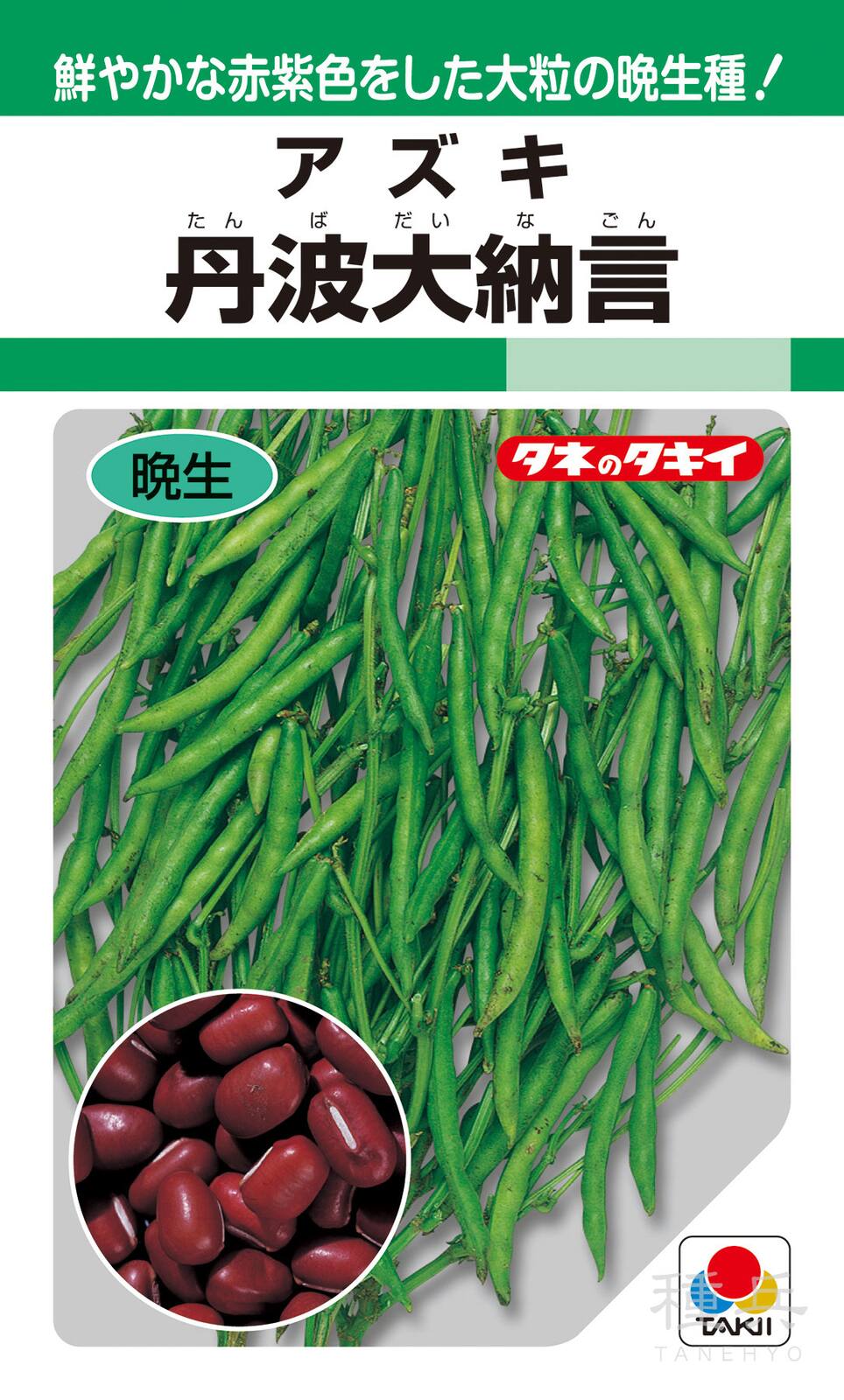 アズキ 種 『丹波大納言小豆』 AOB181 タキイ種苗
