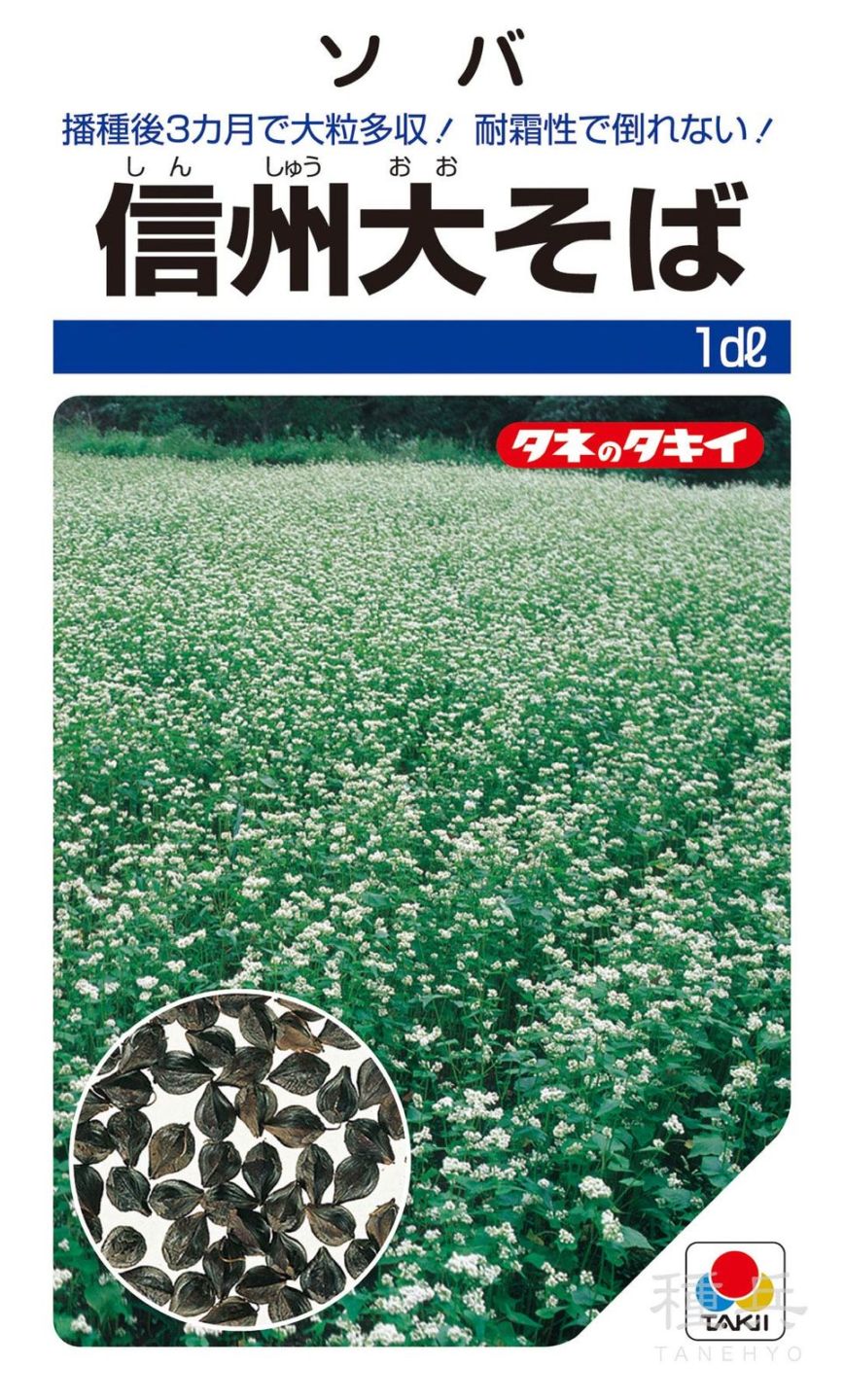 ソバ 種 『信州大そば』 ATY703 タキイ種苗