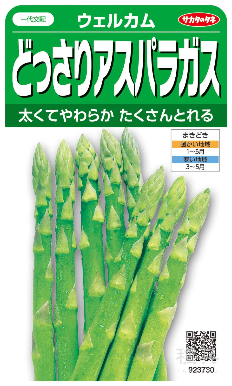 アスパラガス 種 『ウェルカム』  サカタのタネ