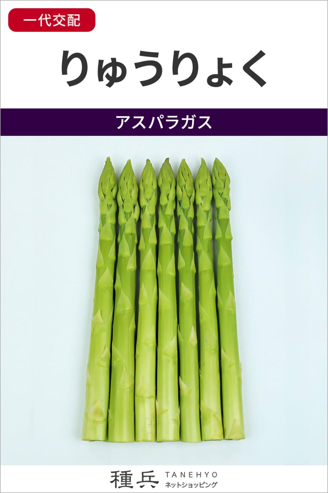 アスパラガス 種 『りゅうりょく』  サカタのタネ