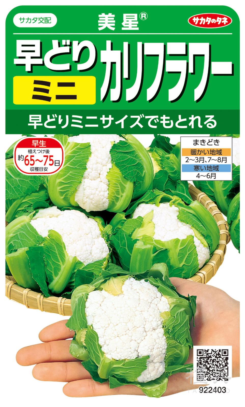 カリフラワー 種 『美星』  サカタのタネ