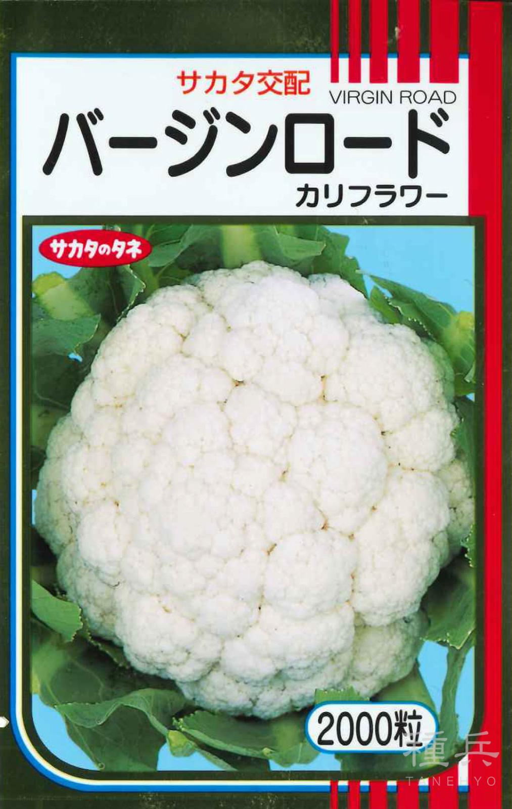 カリフラワー 種 『バージンロード』  サカタのタネ