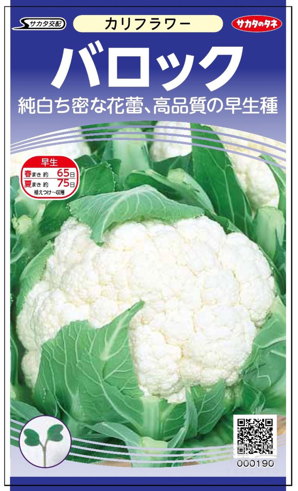 カリフラワー 種 『バロック』  サカタのタネ