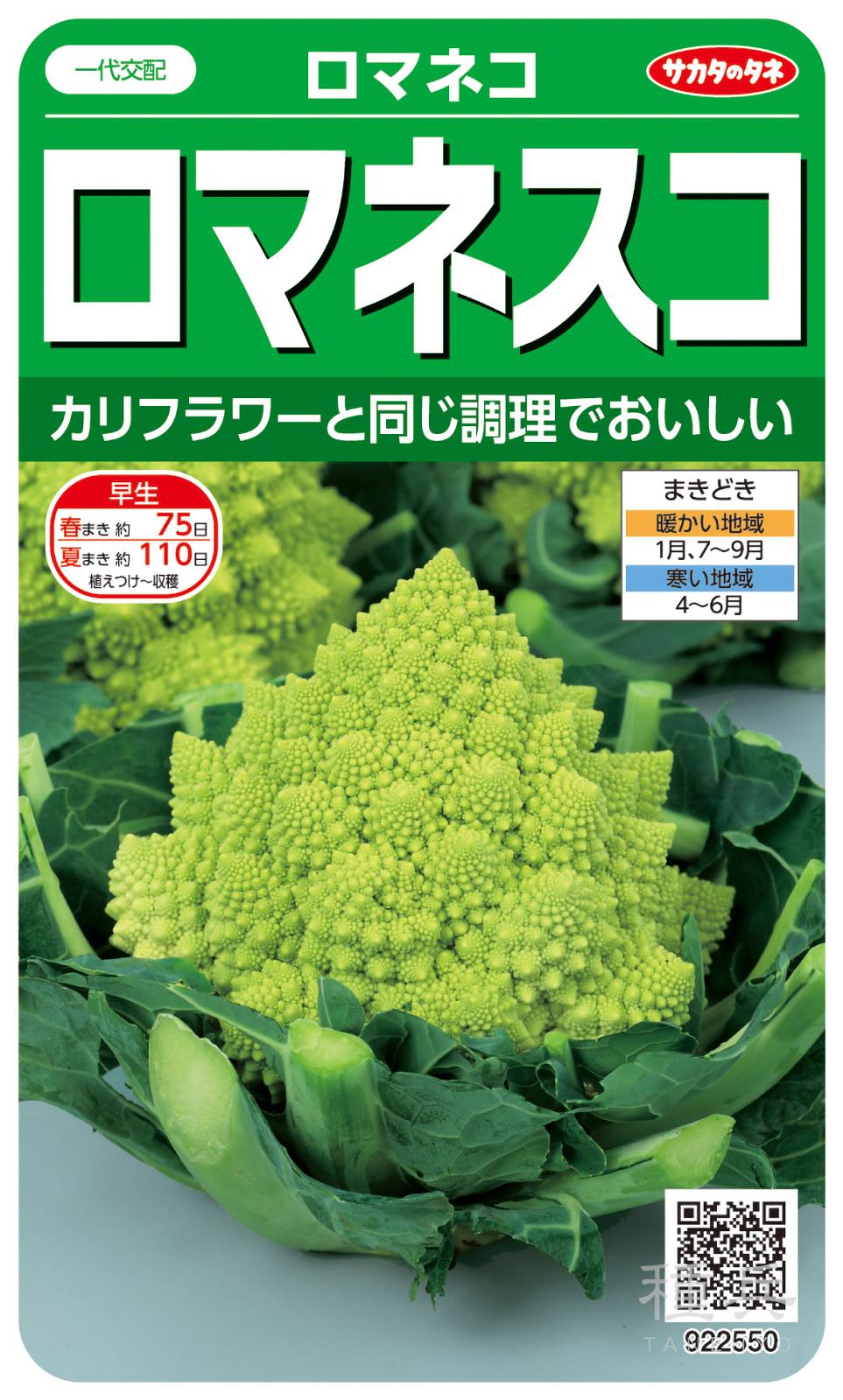 ロマネスコ 種 『ロマネコ』  サカタのタネ