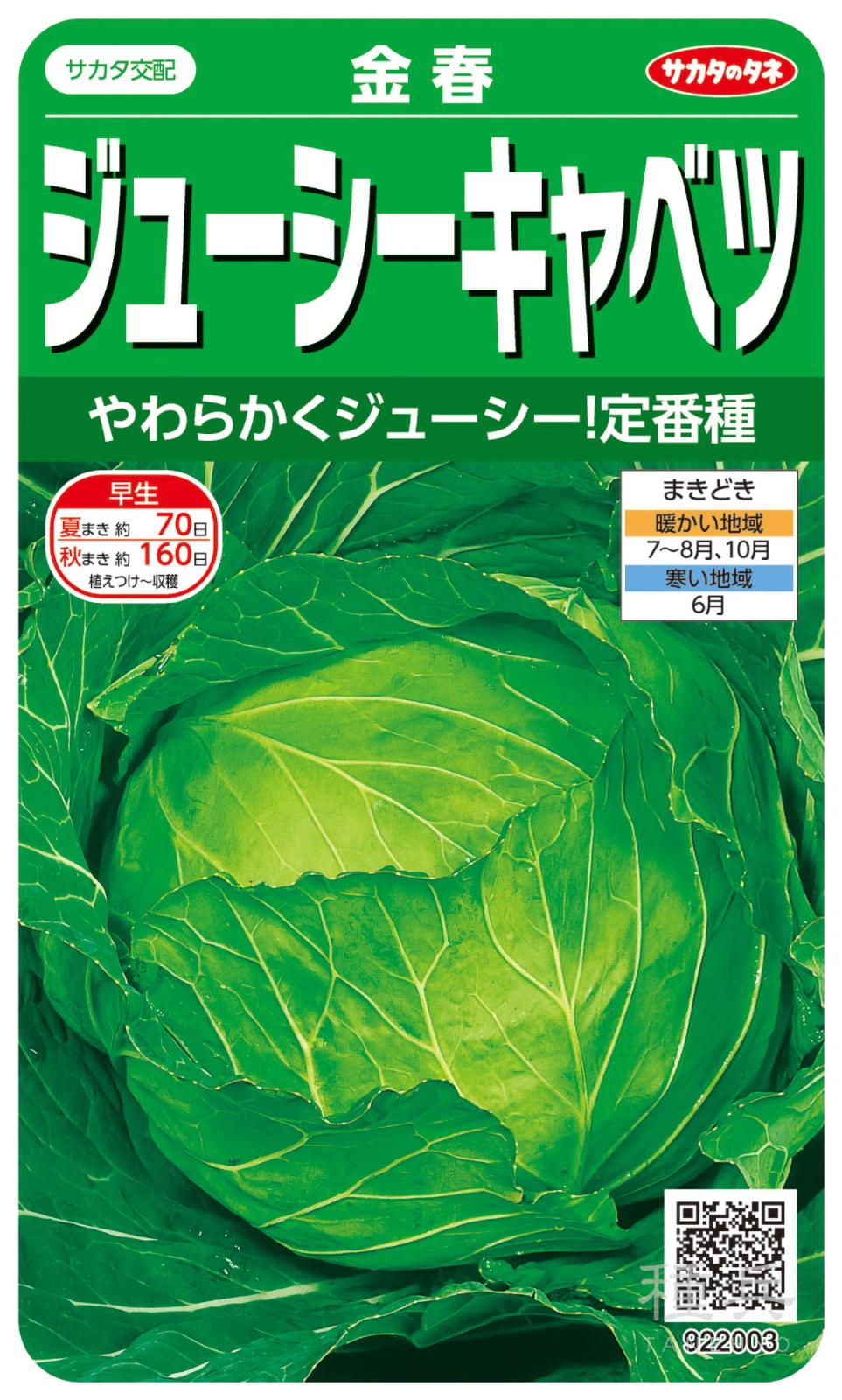 年内～早春・早どり早生キャベツ 種 『金春』 サカタのタネ | たね,葉