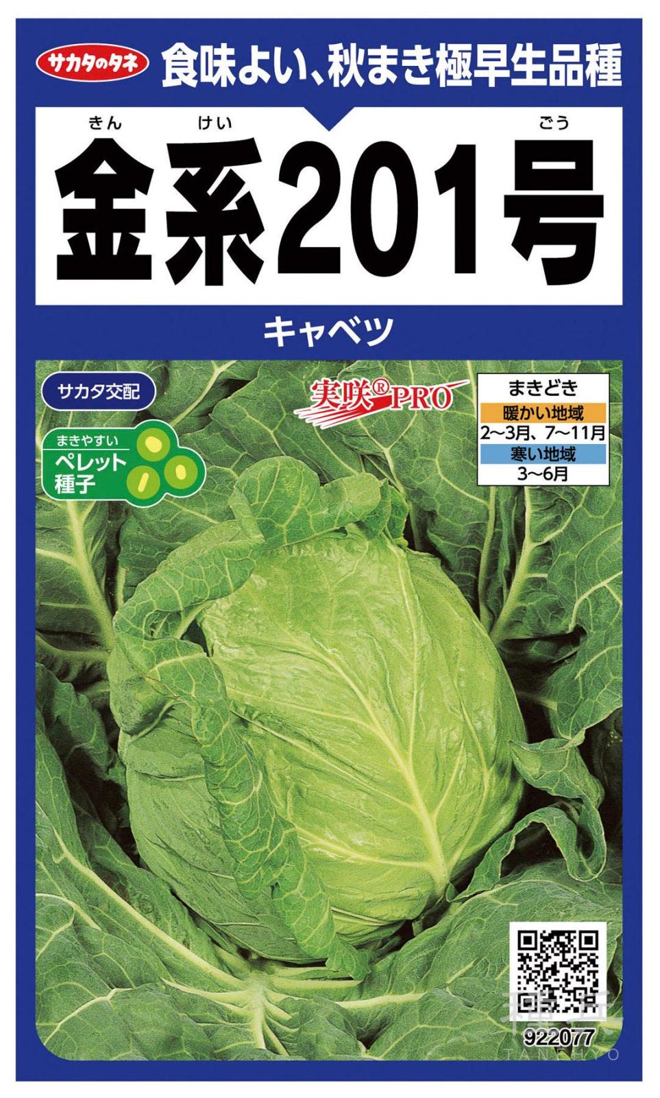 極早生キャベツ 種 『金系201号』 サカタのタネ | たね,葉菜の種