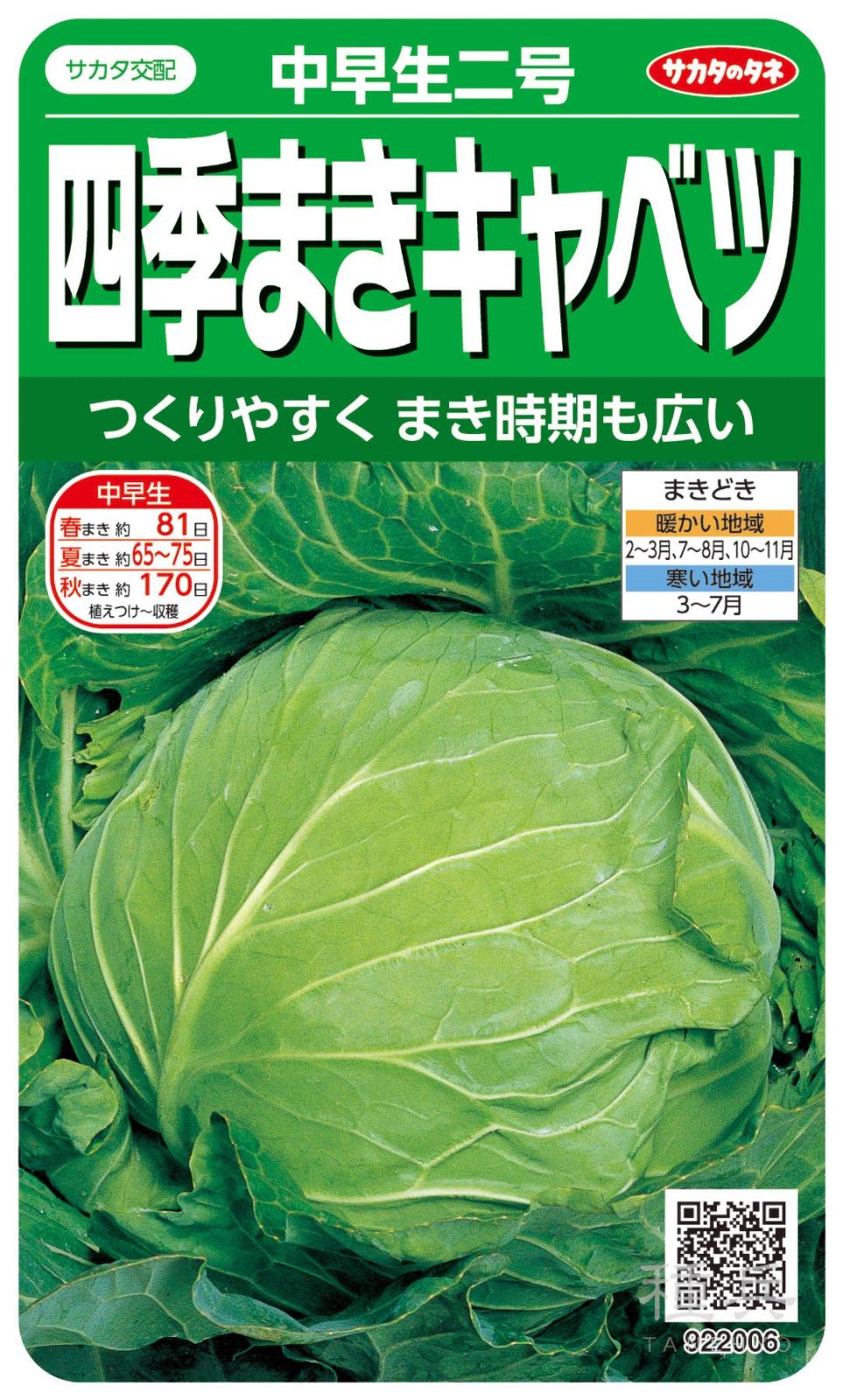 キャベツ キャベツ 種 『中早生二号』 サカタのタネ | たね,葉菜の種,キャベツ