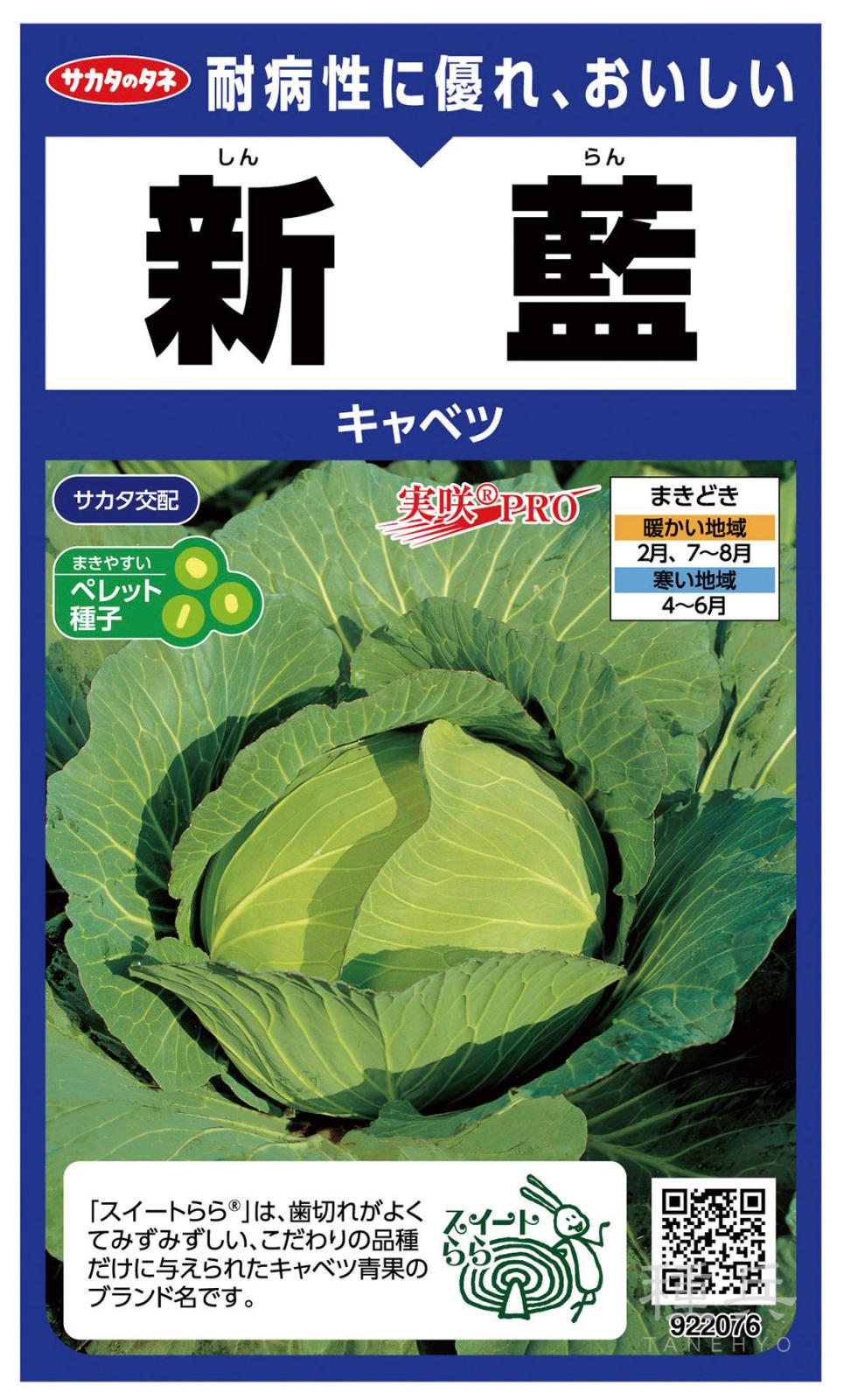 キャベツ 種 『新藍』 サカタのタネ | たね,葉菜の種,キャベツ