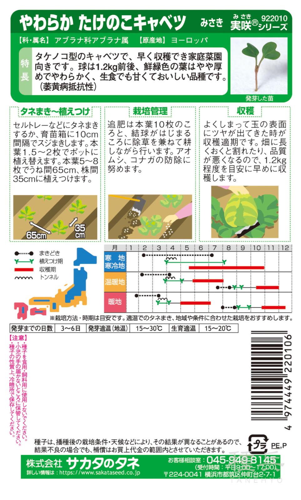 タケノコ形キャベツ 種 『みさき』 サカタのタネ | たね,葉菜の種