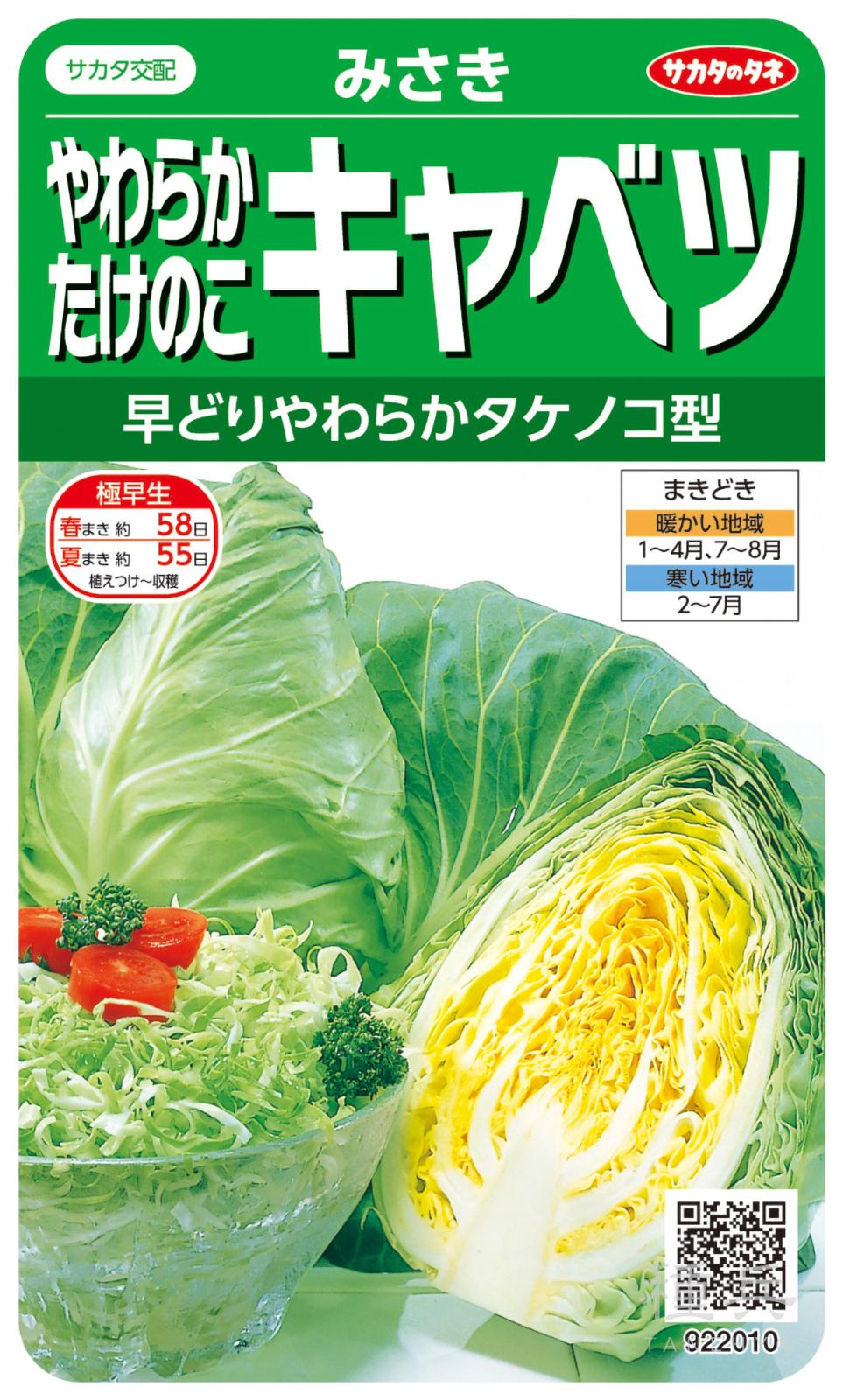 タケノコ形キャベツ 種 『みさき』 サカタのタネ | たね,葉菜の種