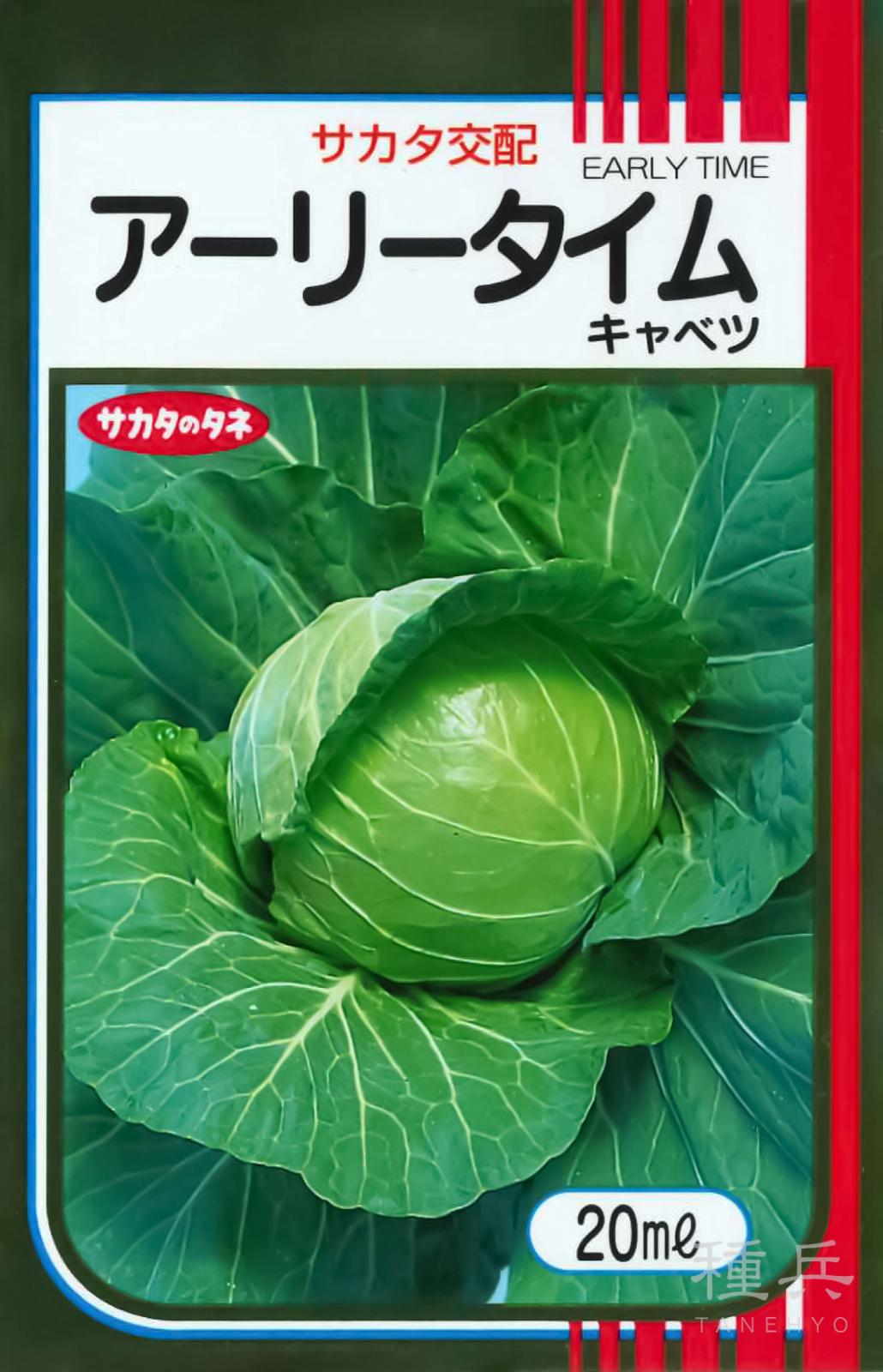 キャベツ　種 極早生ボール形品種キャベツ 種 『アーリータイム』 サカタのタネ