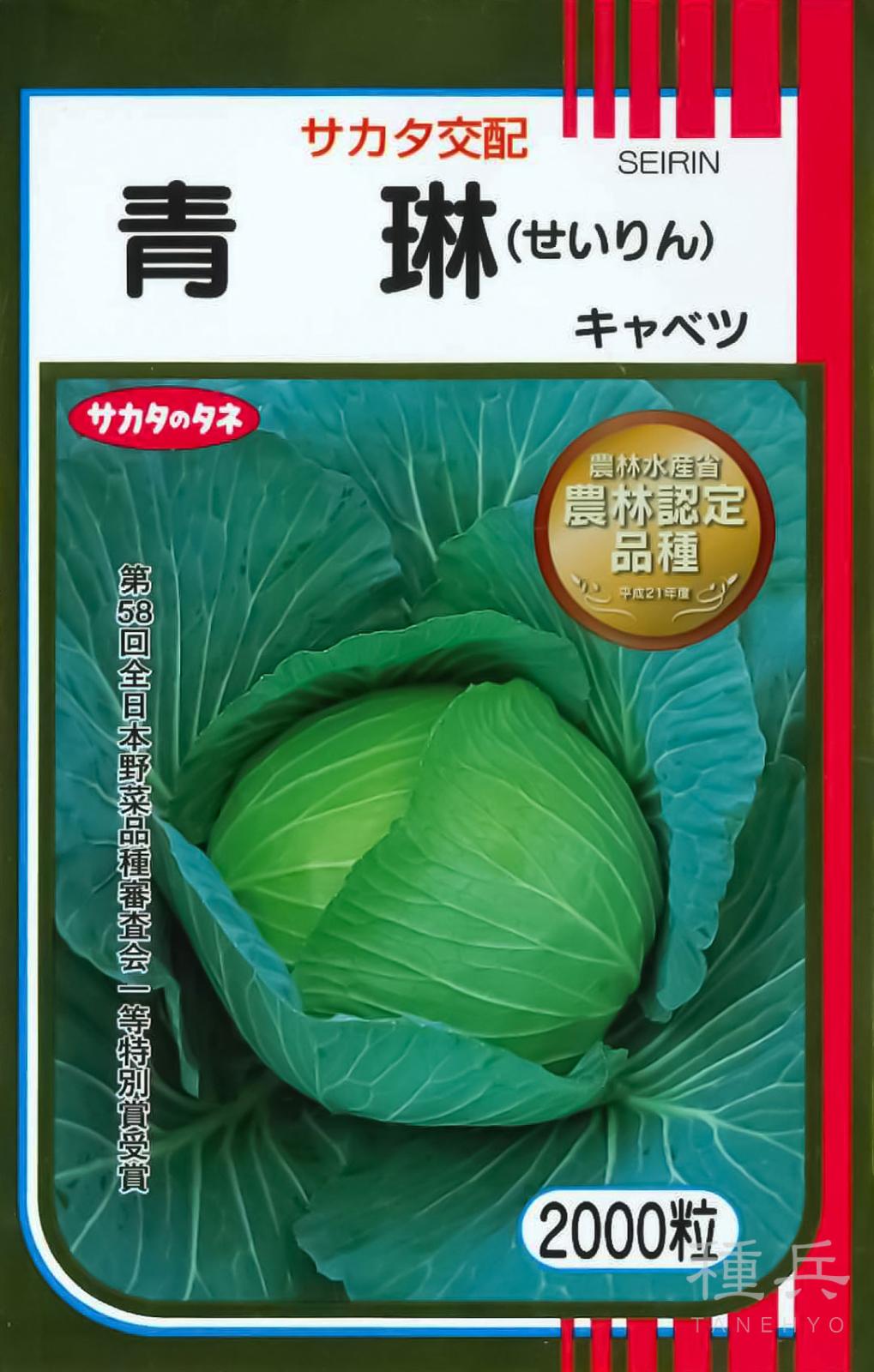 キャベツ　種 中早生キャベツ 種 『青琳』 サカタのタネ | たね,葉菜の種,キャベツ