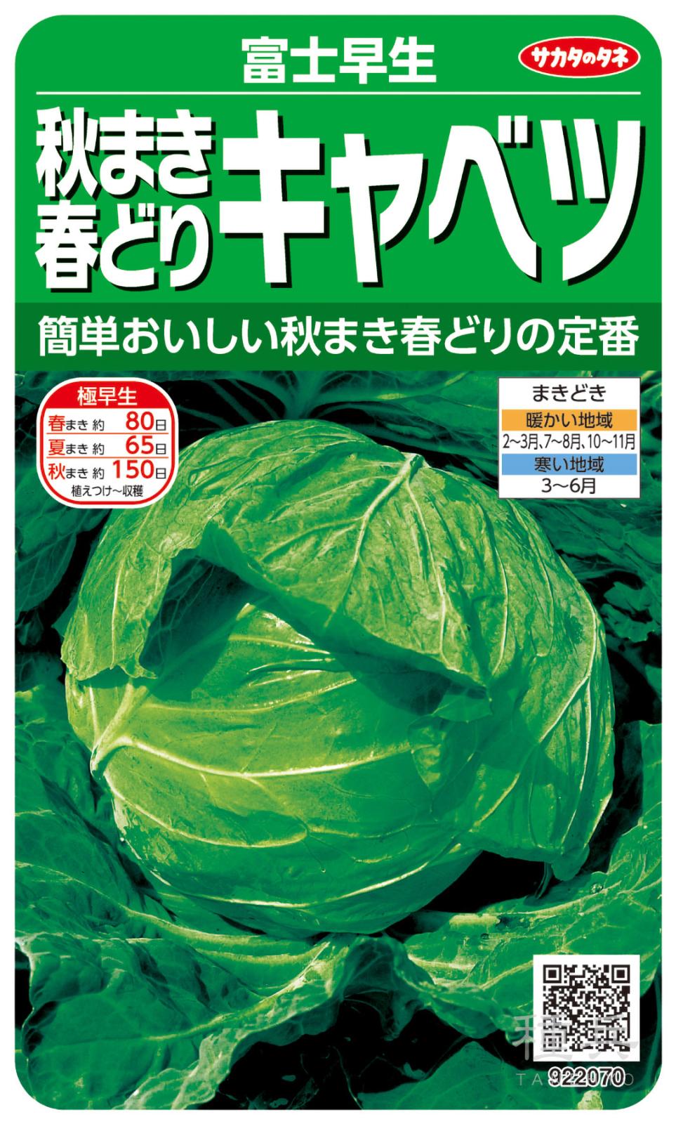 春から初夏収穫キャベツ苗　200本 春から初夏収穫キャベツ苗 200本 【公式通販】