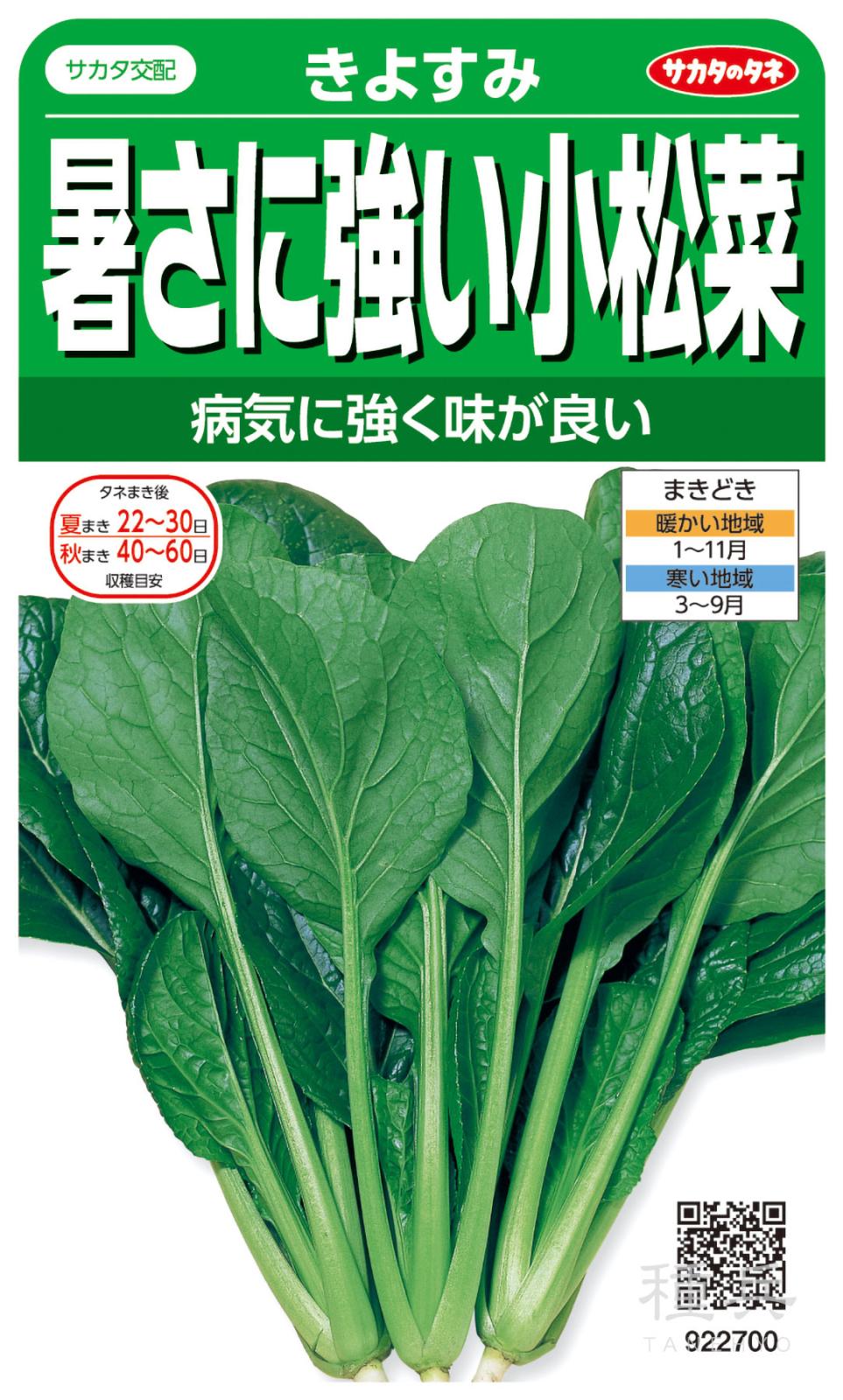 コマツナ 種 『きよすみ』  サカタのタネ