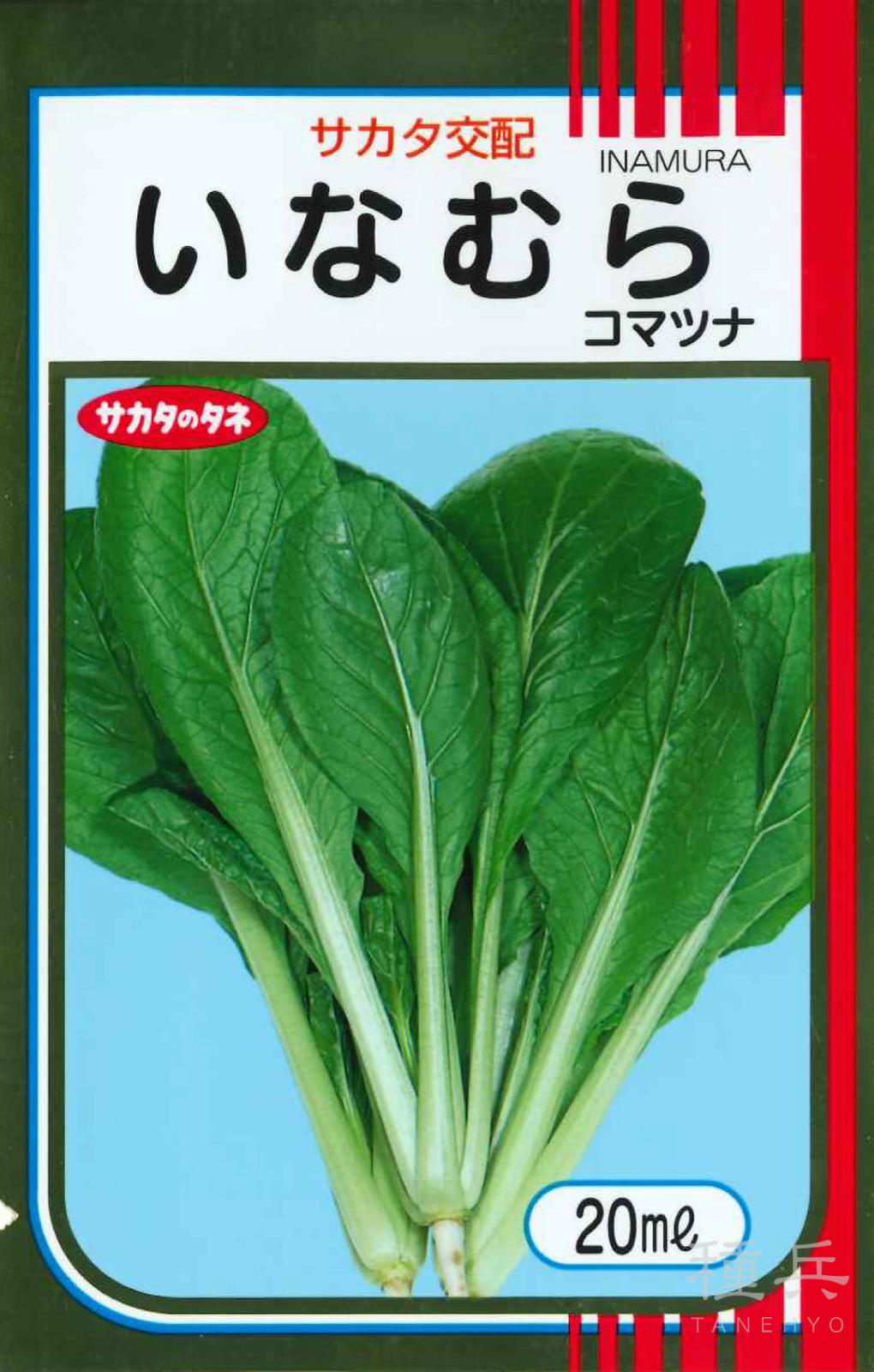 コマツナ 種 『いなむら』  サカタのタネ