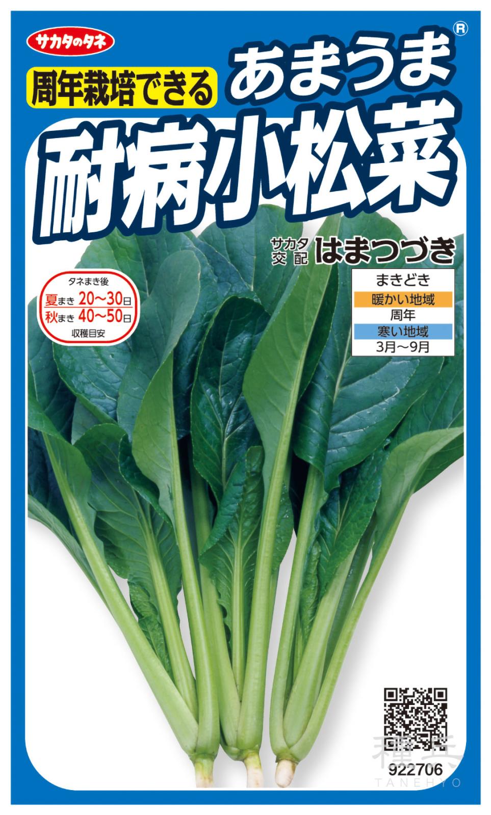 コマツナ 種 『はまつづき』  サカタのタネ