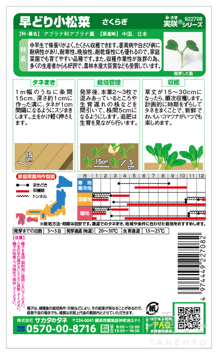 コマツナ 種 『さくらぎ』 サカタのタネ | たね,葉菜の種,コマツナ