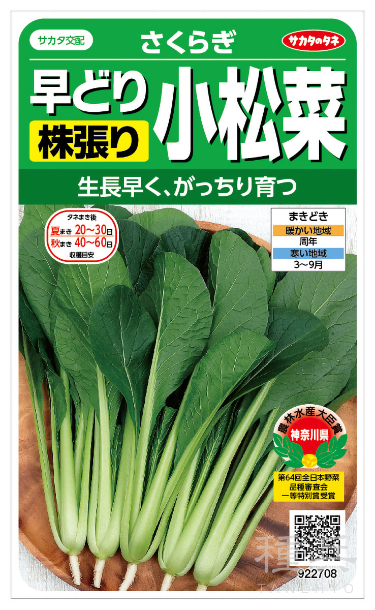 コマツナ 種 『さくらぎ』  サカタのタネ