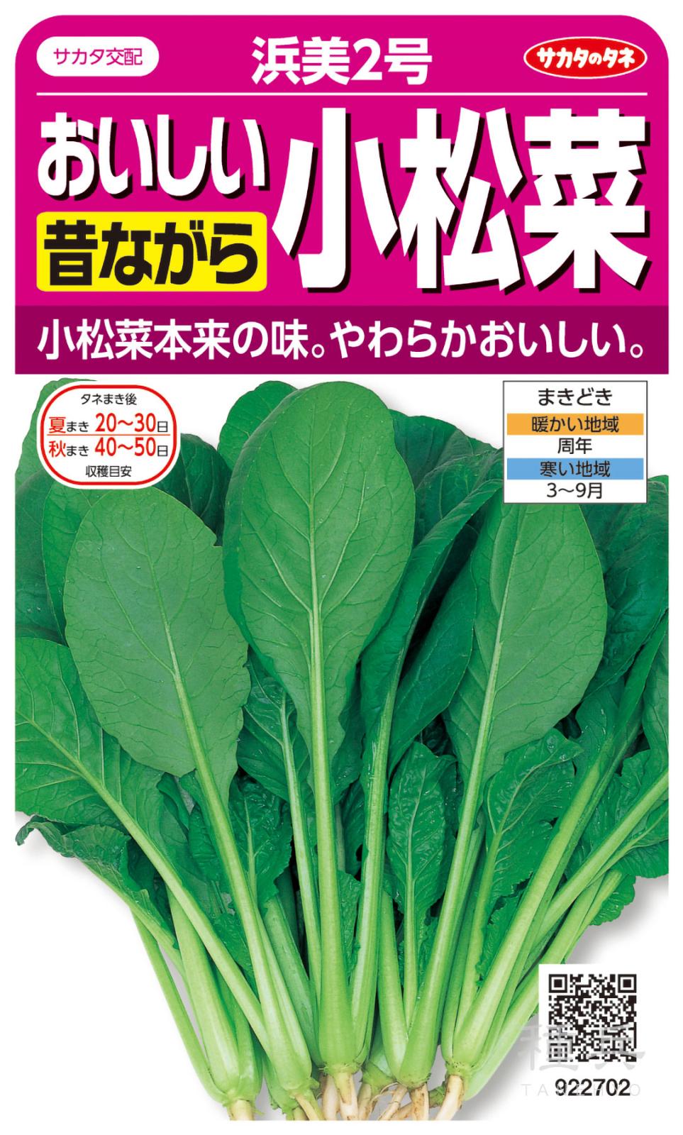 コマツナ 種 『浜美2号』  サカタのタネ