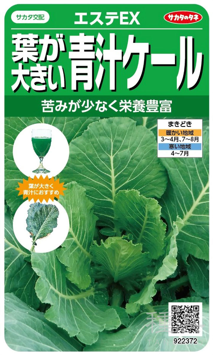 コラード 種 『エステEX』  サカタのタネ