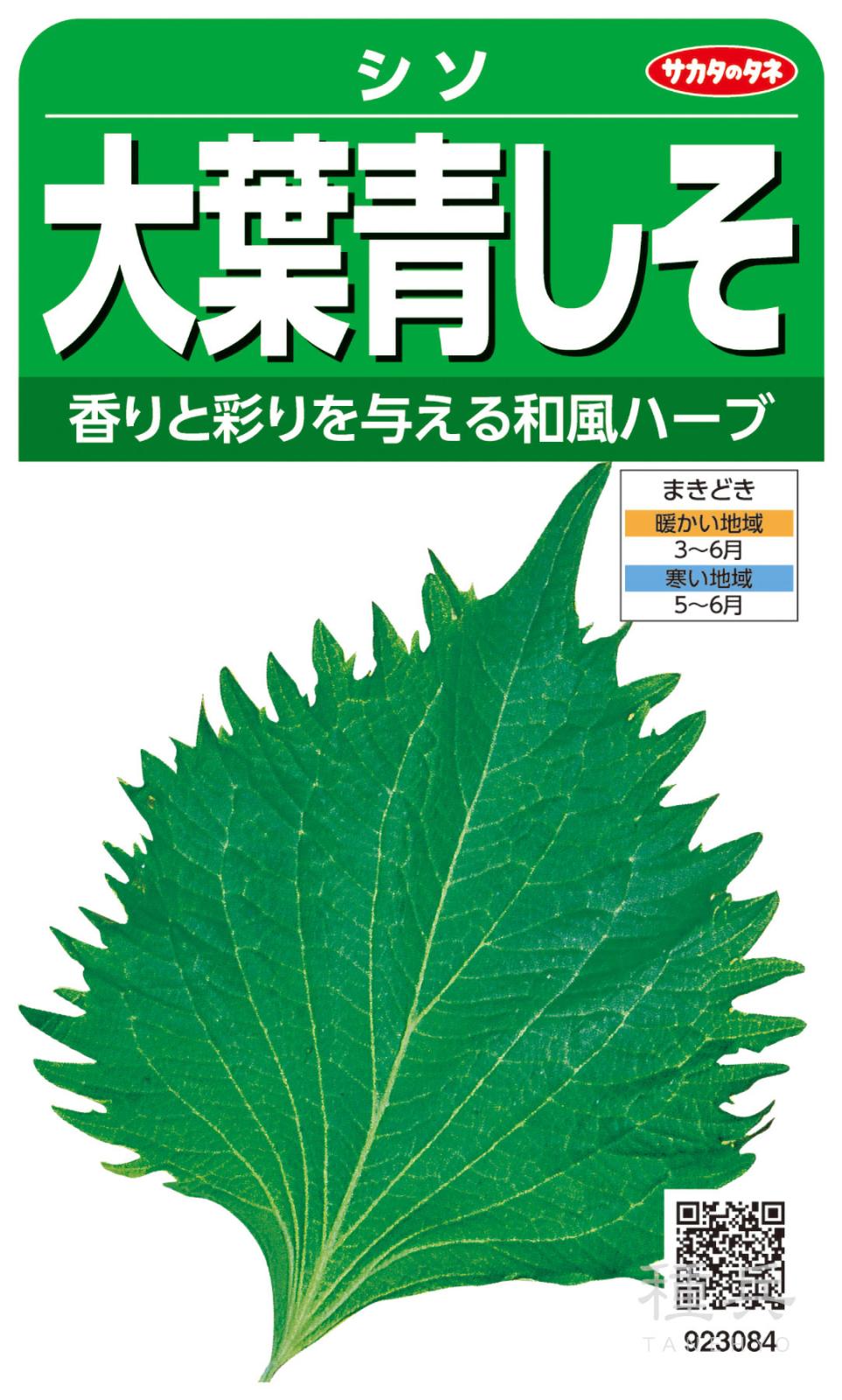 シソ 種 『大葉青しそ』  サカタのタネ