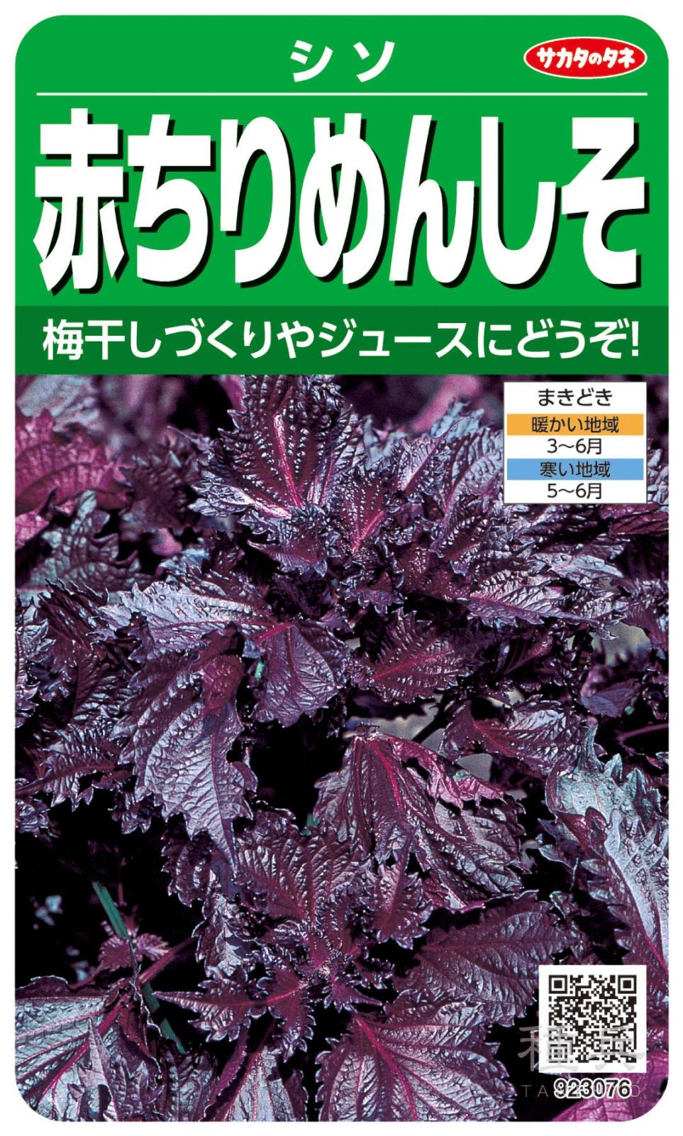 シソ 種 『赤ちりめんしそ』  サカタのタネ