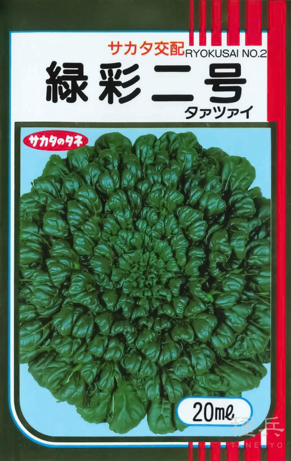 タァツァイ 種 『緑彩二号』  サカタのタネ
