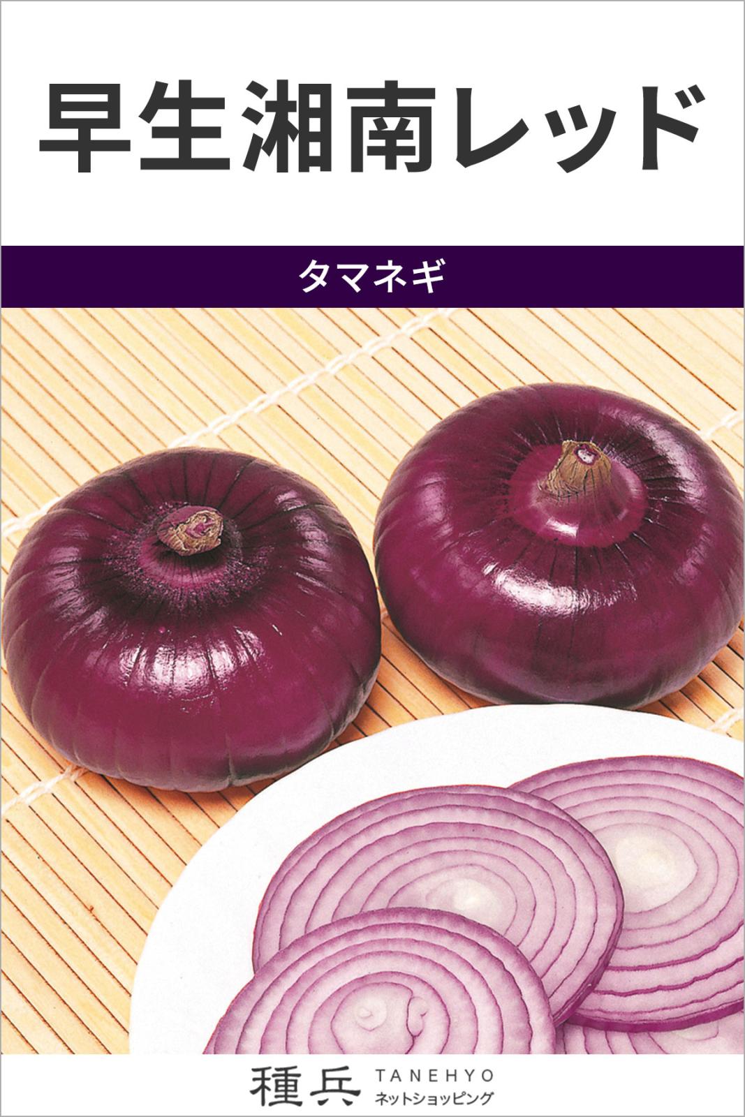 タマネギ 種 『早生湘南レッド』  サカタのタネ