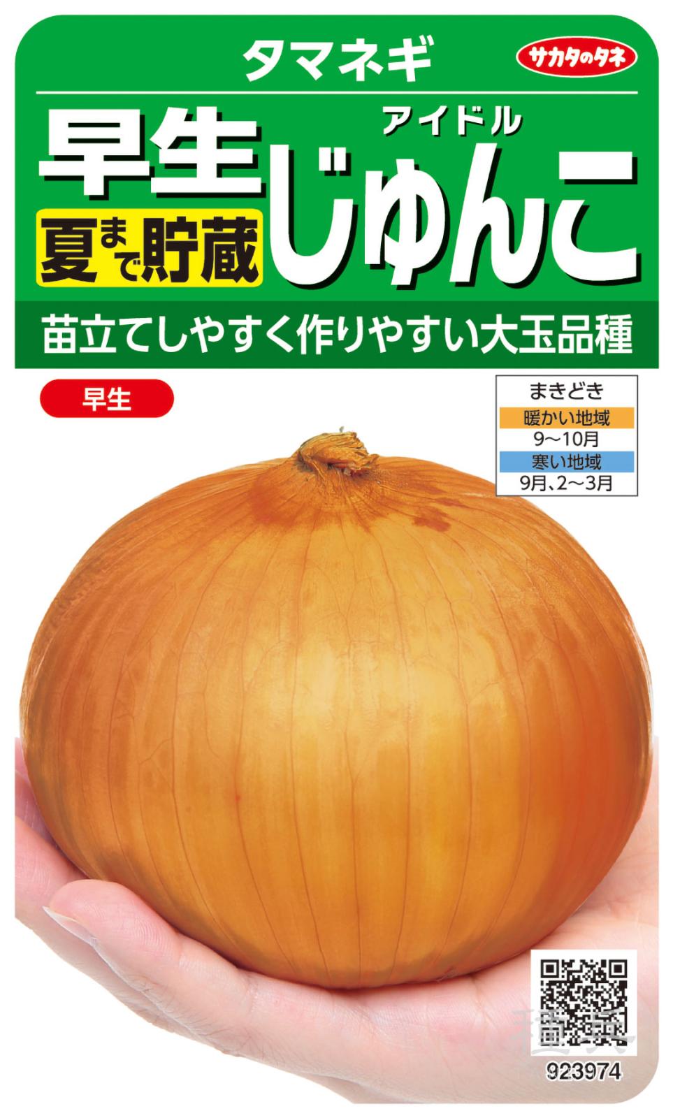 タマネギ 種 『アイドルじゅんこ』  サカタのタネ