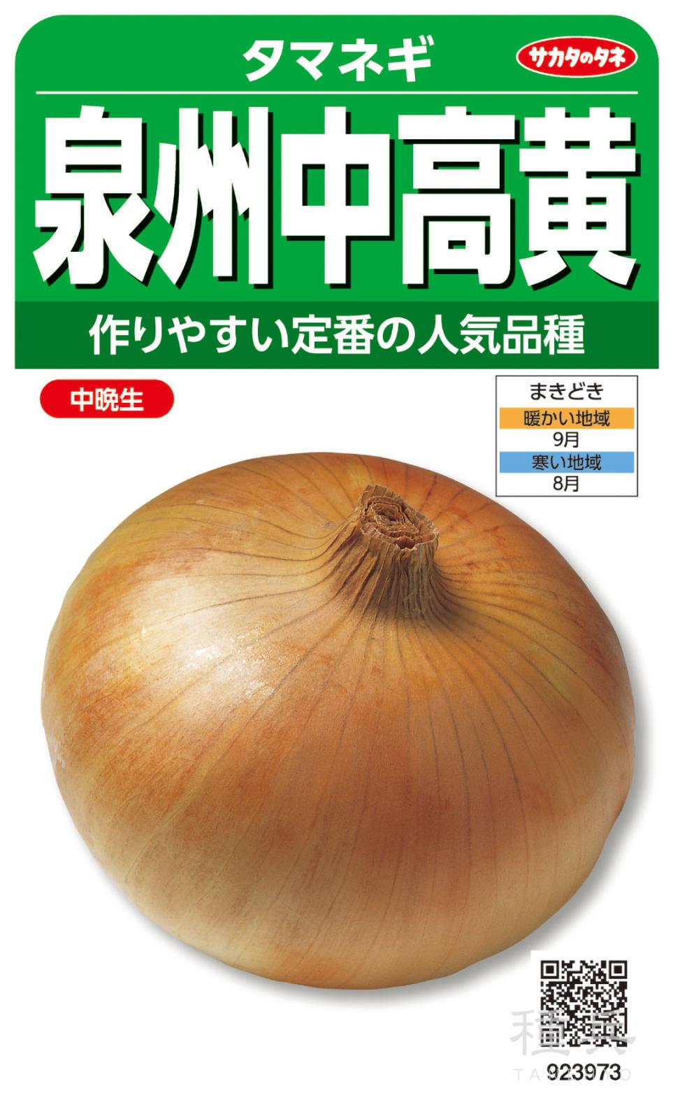 タマネギ 種 『泉州中高黄』  サカタのタネ