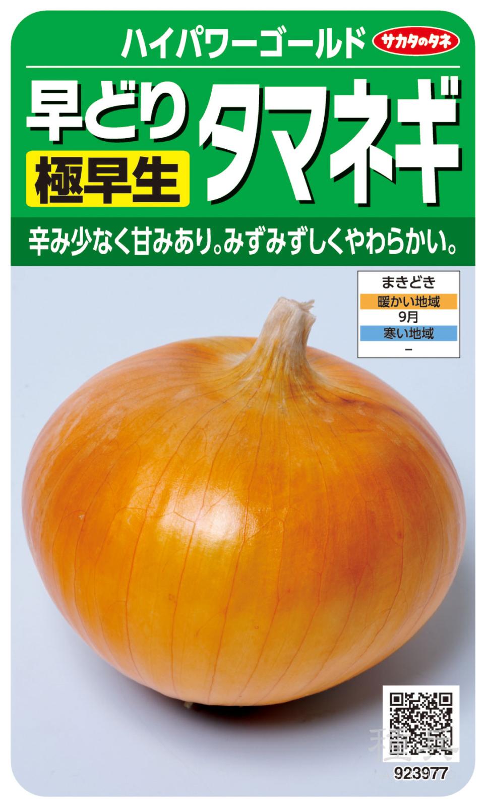 タマネギ 種 『ハイパワーゴールド』  サカタのタネ