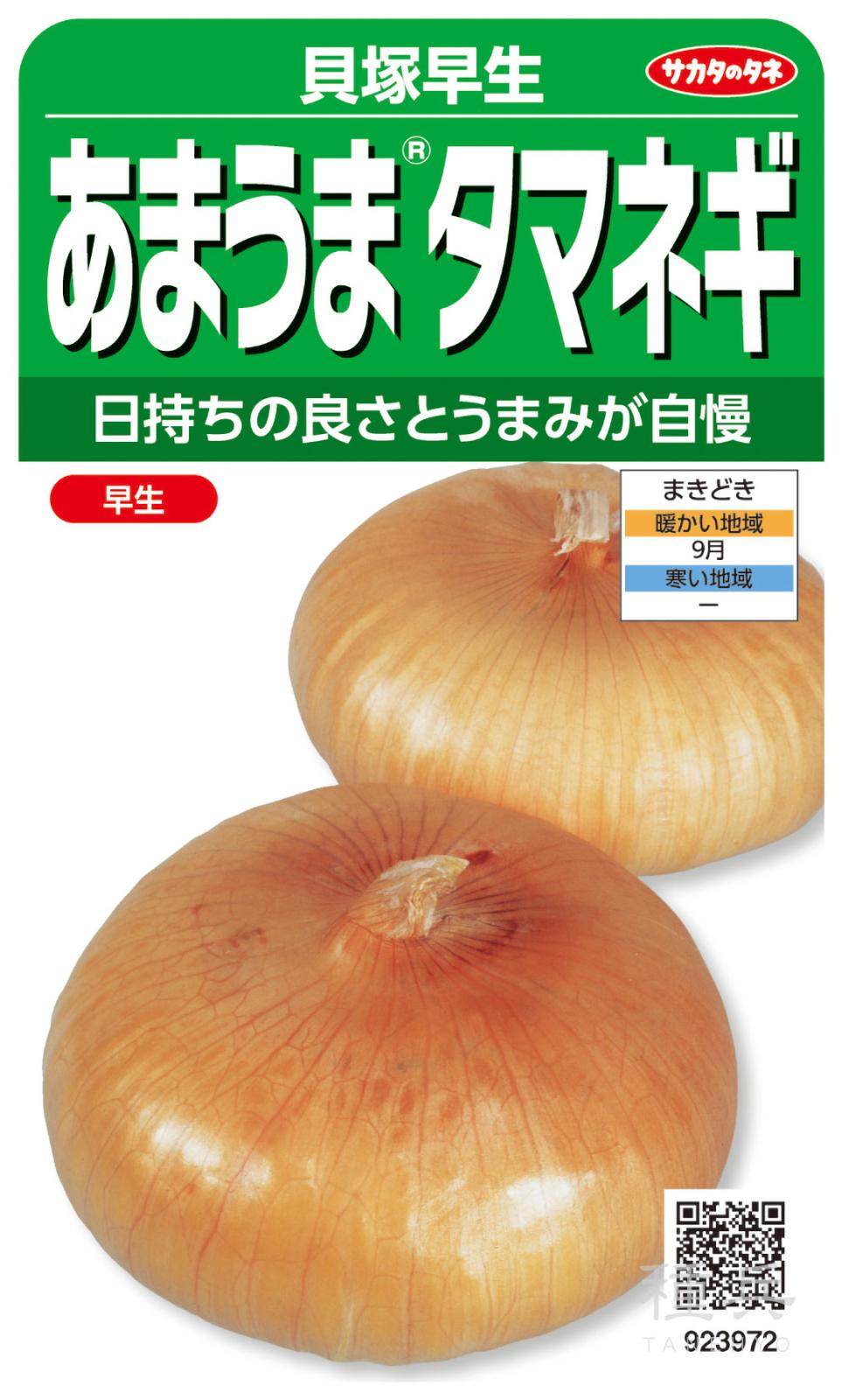 タマネギ 種 『貝塚早生』 サカタのタネ | たね,根菜の種,タマネギ,極