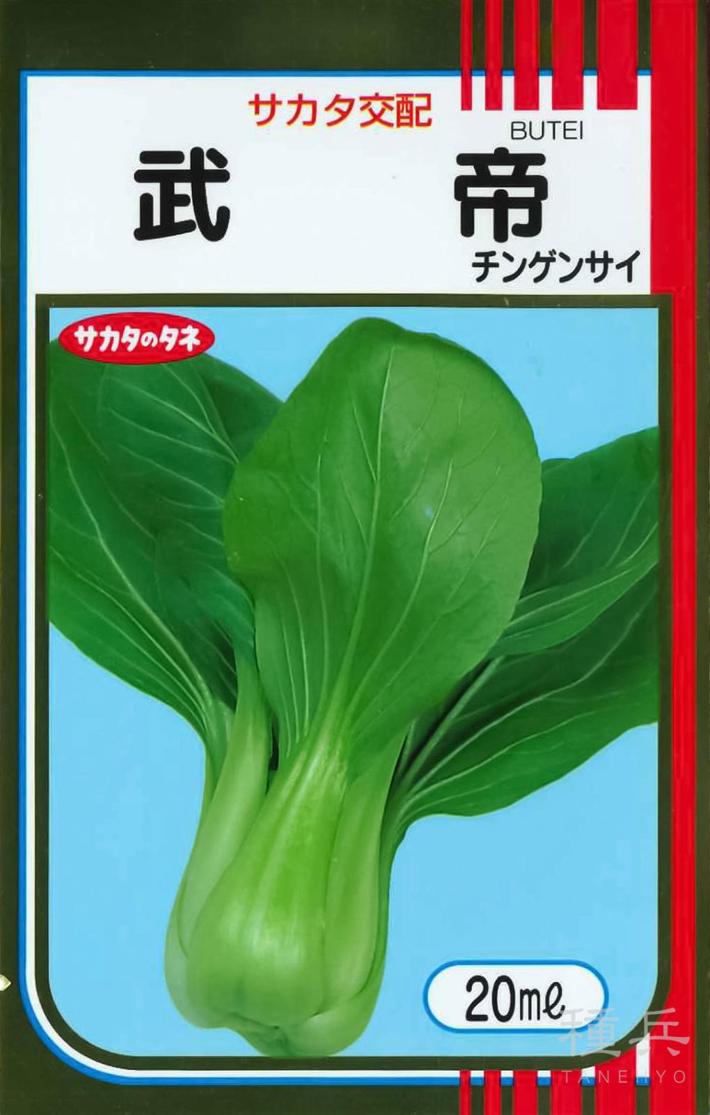 チンゲンサイ 種 『武帝』  サカタのタネ