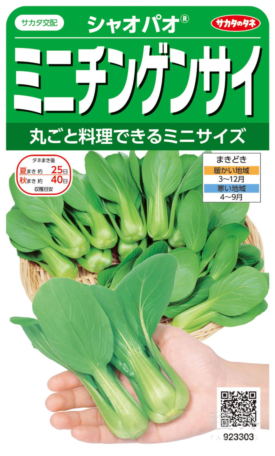 チンゲンサイ 種 『シャオパオ』  サカタのタネ