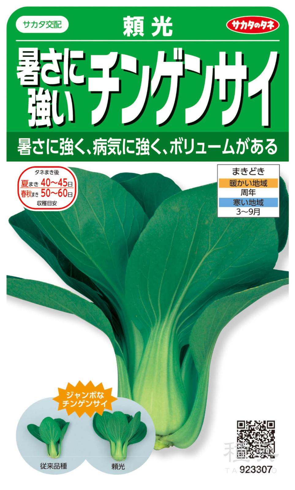 チンゲンサイ 種 『頼光』  サカタのタネ