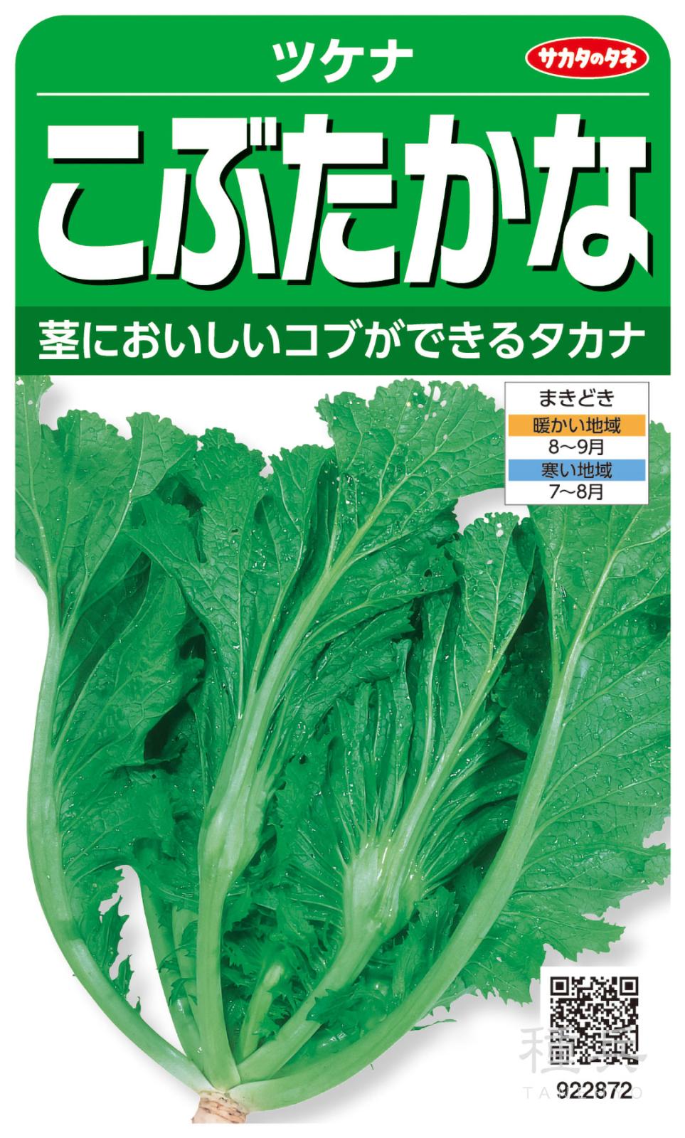 タカナ 種 『こぶたかな』  サカタのタネ