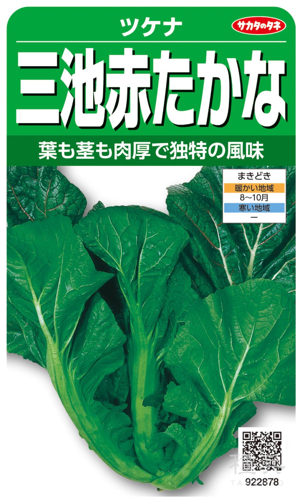 タカナ 種 『三池赤たかな』  サカタのタネ