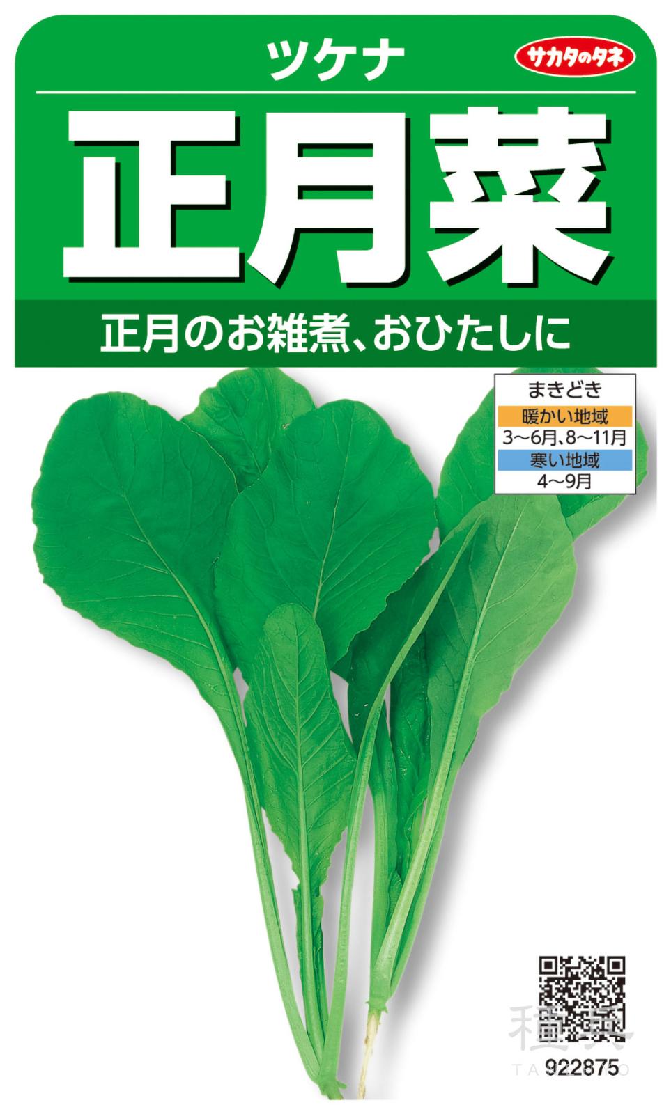 ツケナ 種 『正月菜』  サカタのタネ