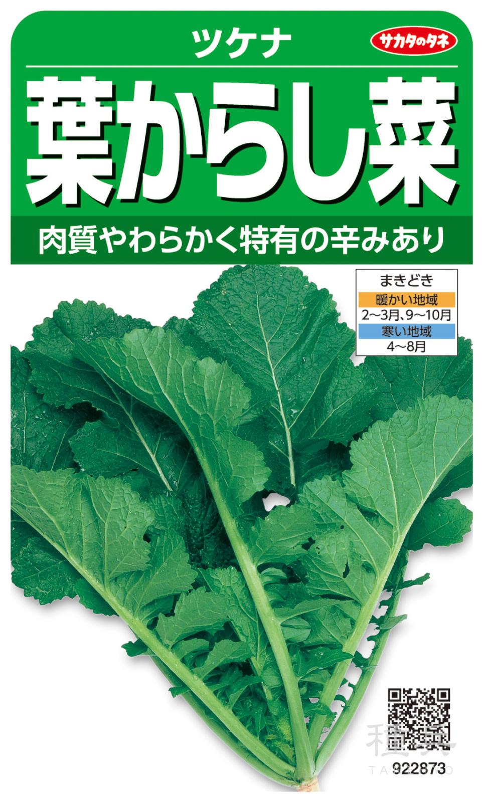 ツケナ 種 『葉からし菜』  サカタのタネ