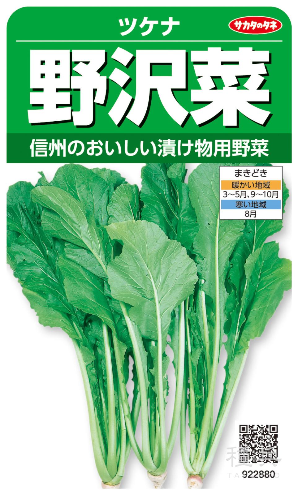 ツケナ 種 『野沢菜』  サカタのタネ