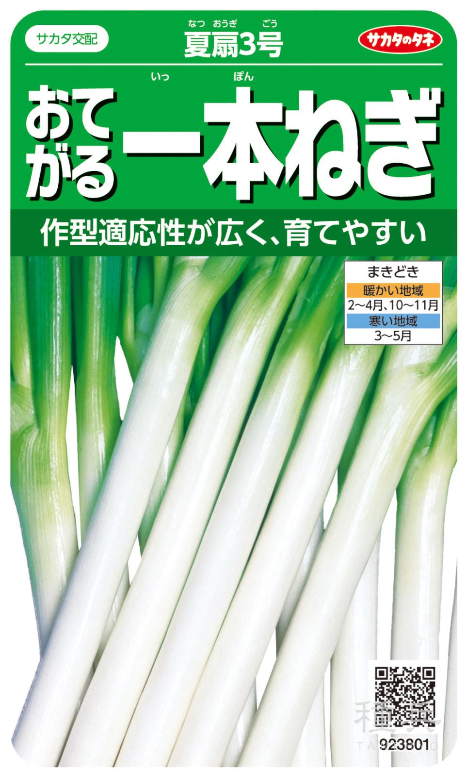 ネギ 種 『夏扇3号』 サカタのタネ | たね,葉菜の種,ネギ,根深・白ネギ