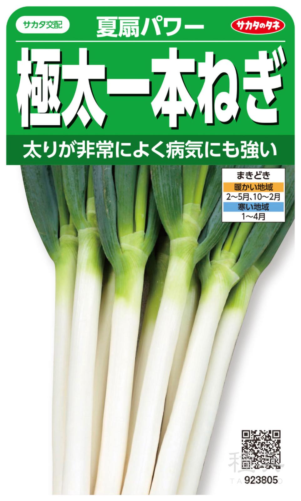 ネギ 初夏扇2号 6000粒 有効期限7月