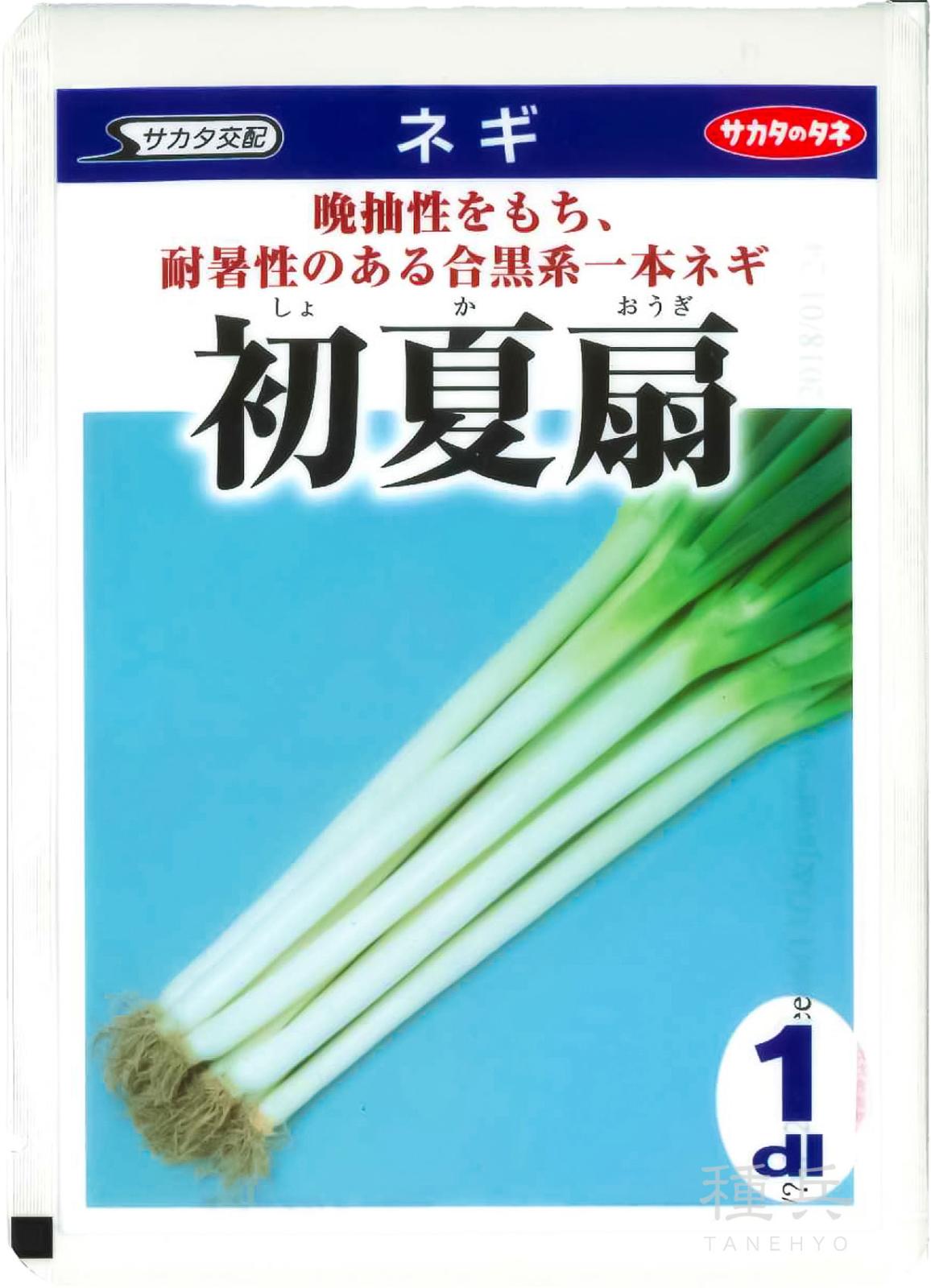 ネギ 種 『初夏扇』 サカタのタネ | たね,葉菜の種,ネギ,根深・白ネギ