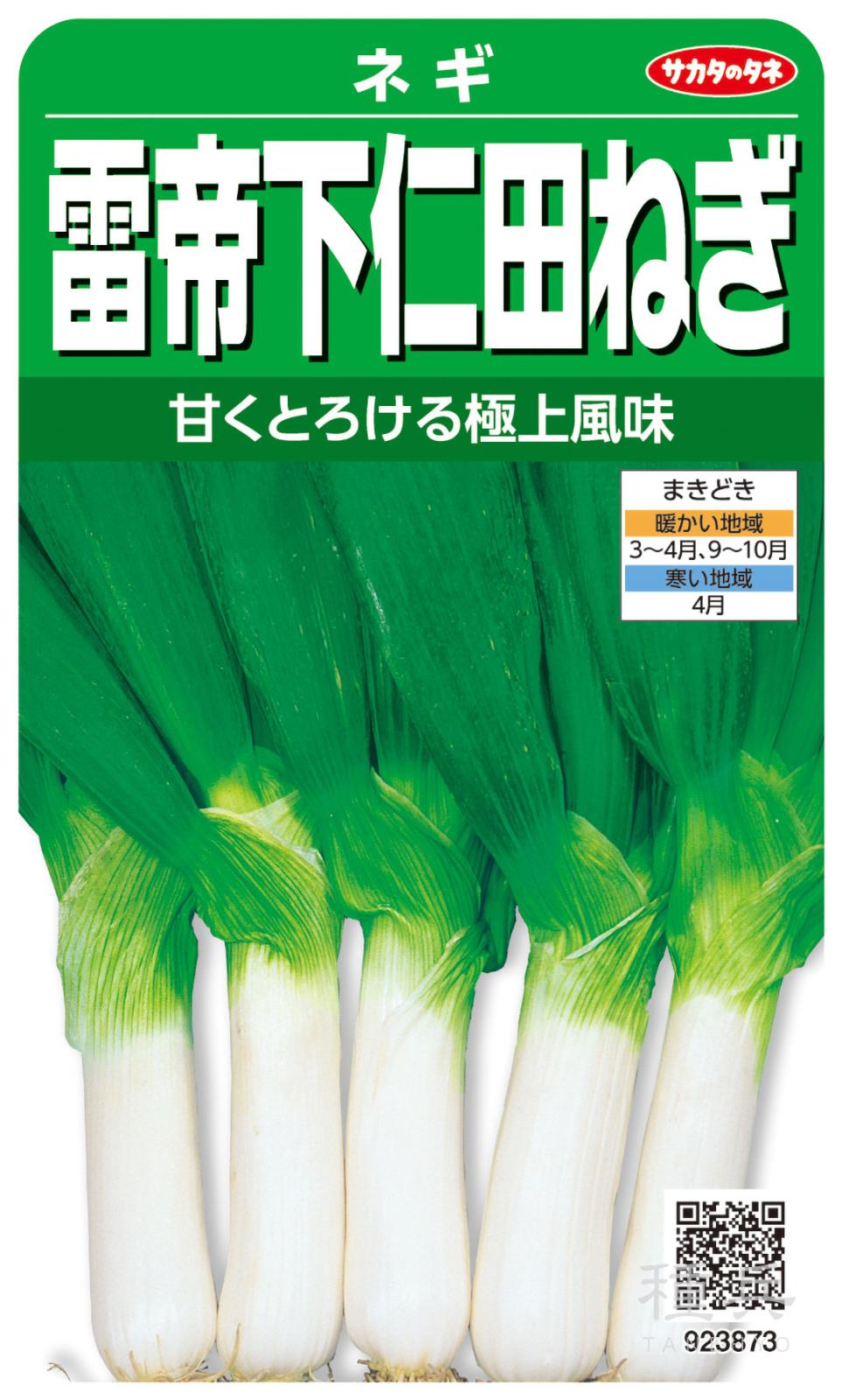 ネギ 種 『雷帝下仁田』 サカタのタネ | たね,葉菜の種,ネギ,根深・白