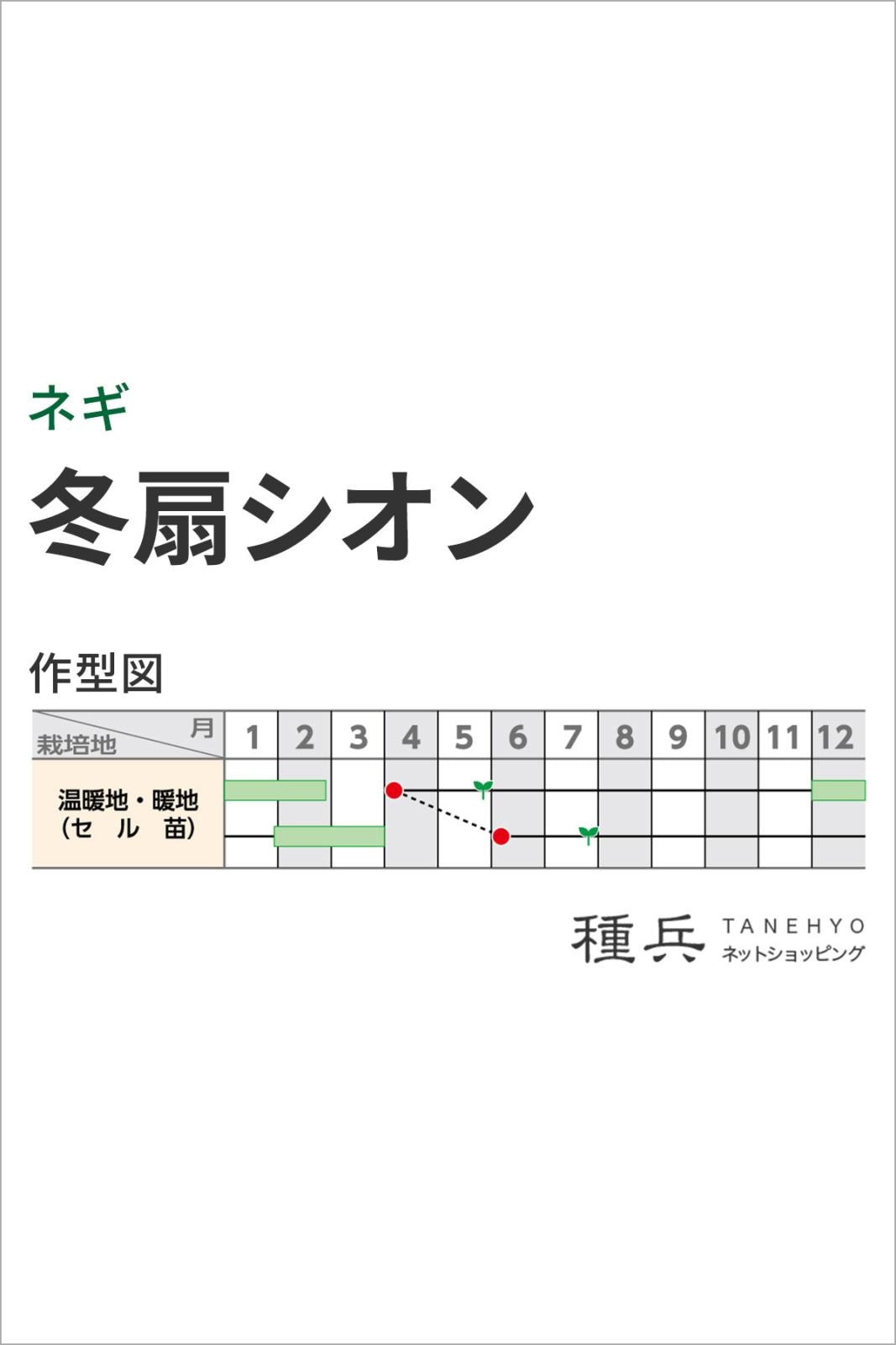 ネギ 種 『冬扇シオン』 サカタのタネ | たね,葉菜の種,ネギ,根深・白