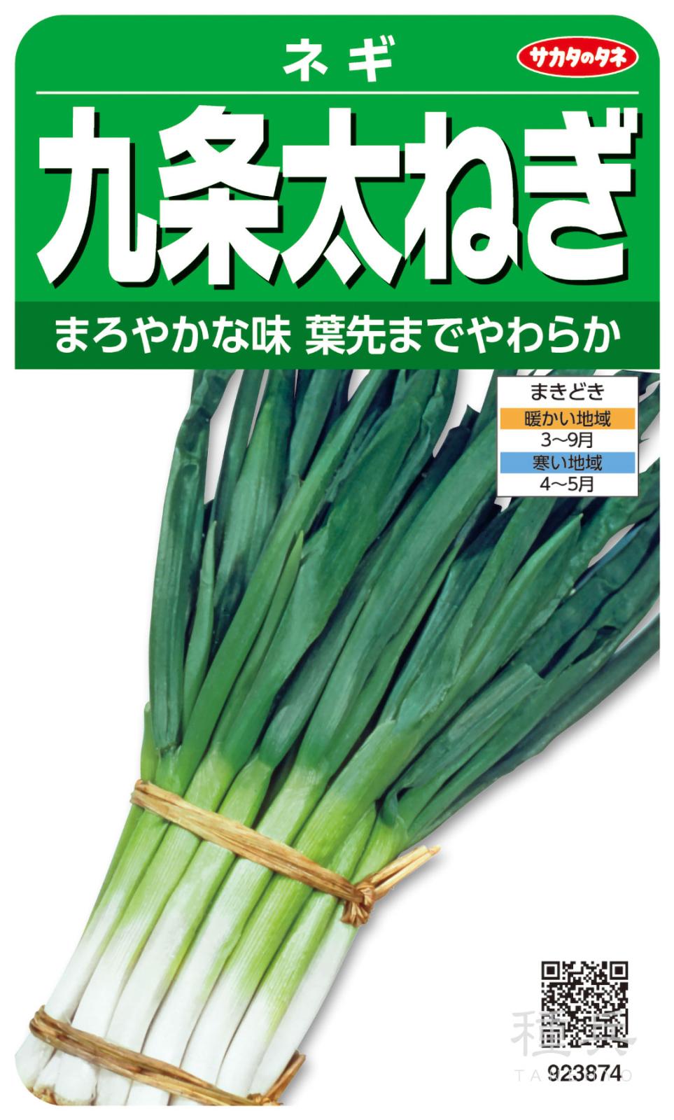 ぐれたく　ネギ種子10袋 ネギ 九条太ねぎ｜種（タネ）,球根,苗,資材,ガーデニンググッズの通販 葉菜