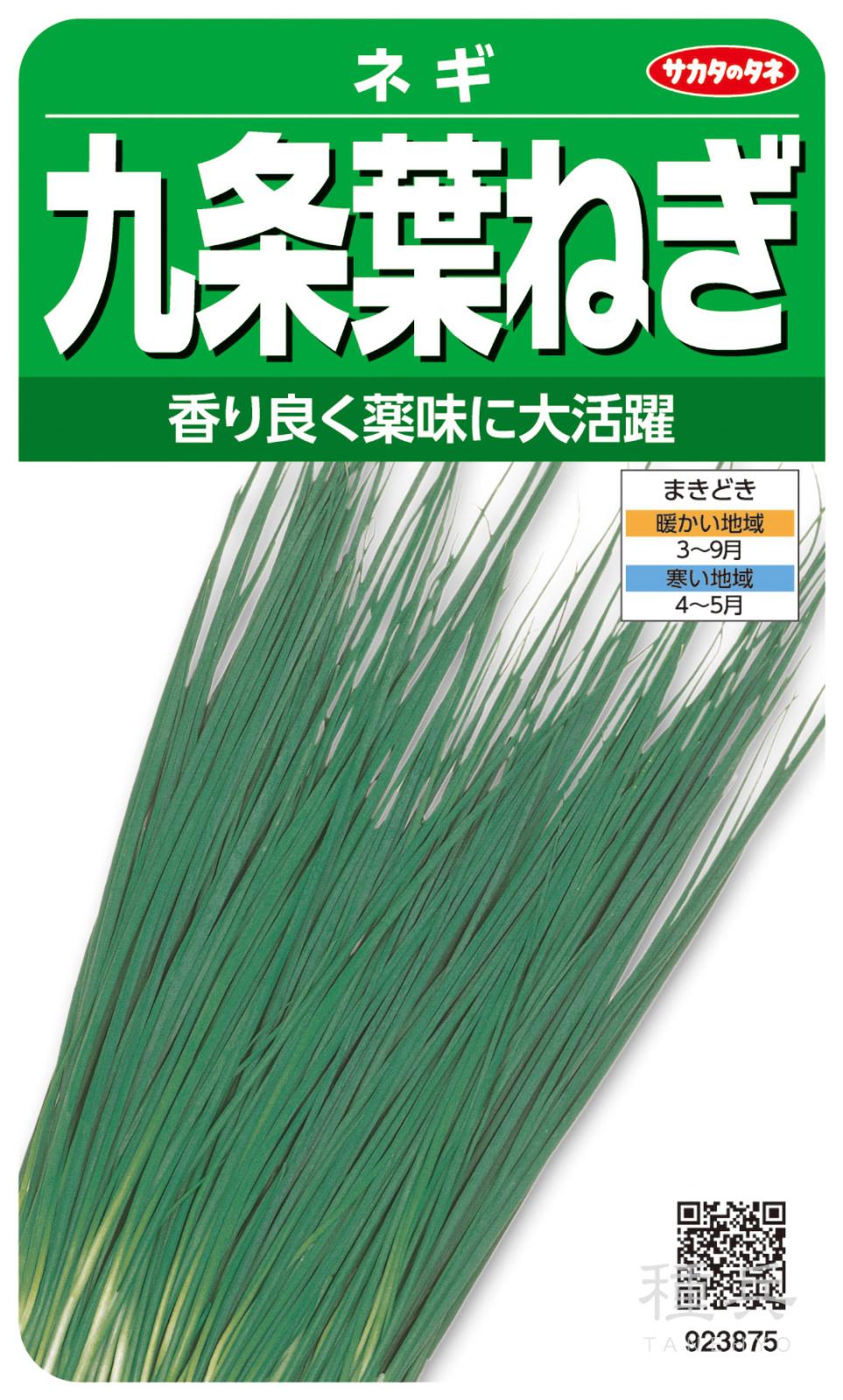 ネギ 種 『九条葉ねぎ』 サカタのタネ | たね,葉菜の種,ネギ,葉ネギ