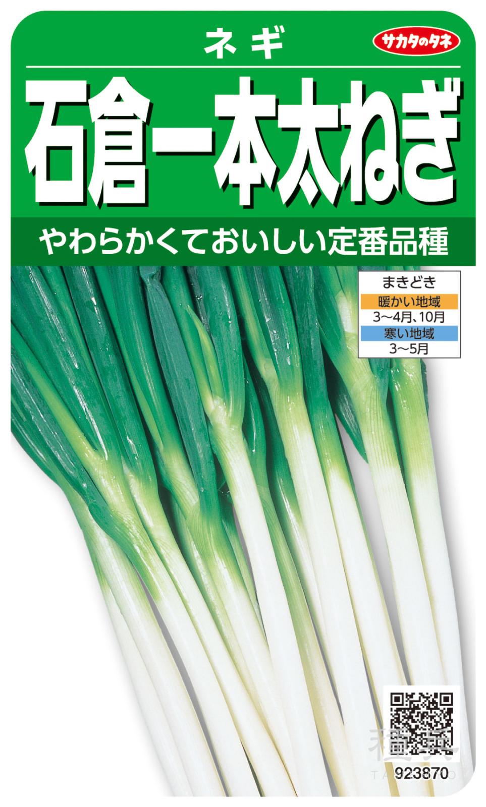 ネギ 種 『石倉一本太』 サカタのタネ | たね,葉菜の種,ネギ,根深・白